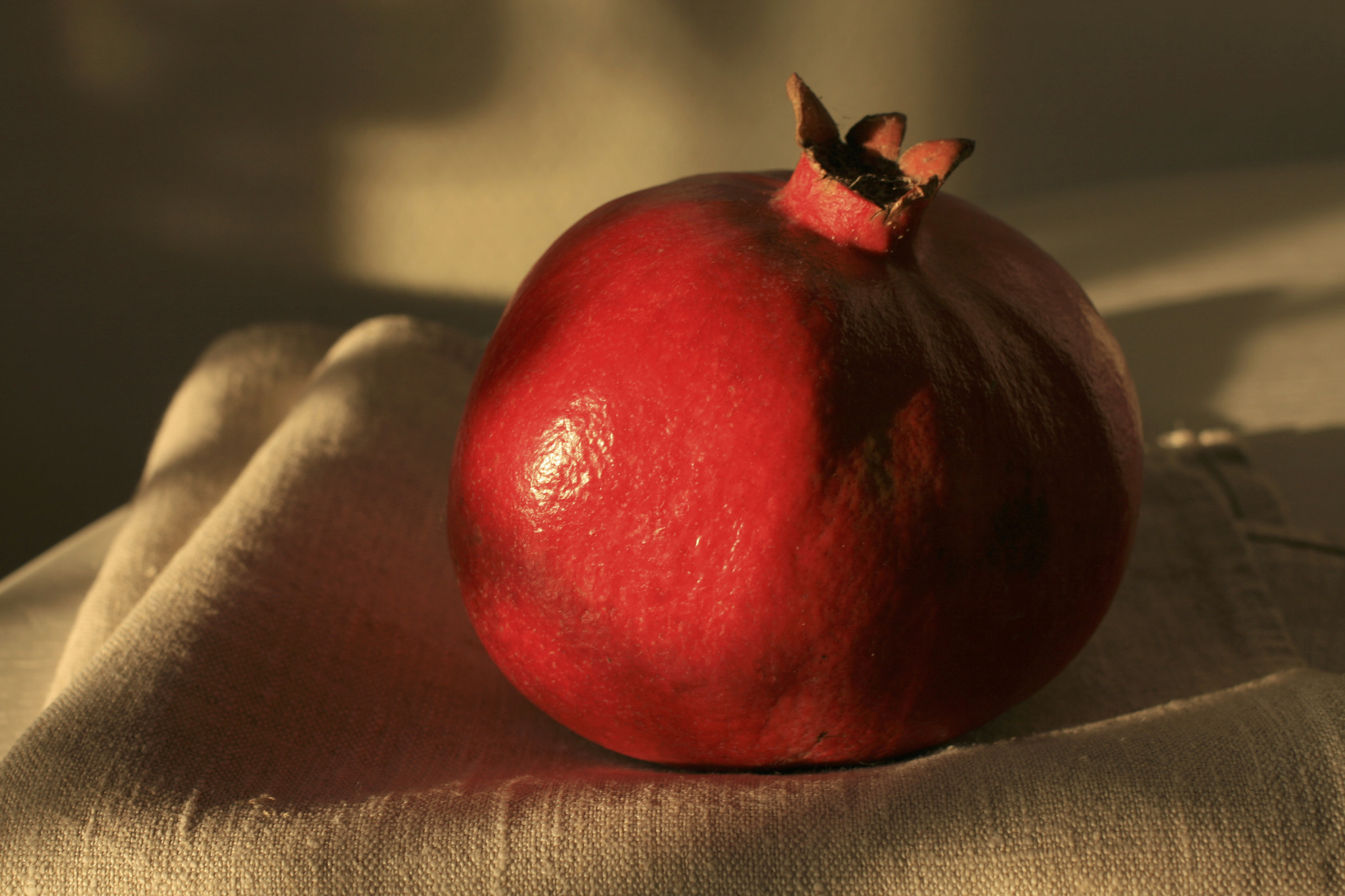 Canon EF 40mm F2.8 STM sample photo. Pomegranate photography