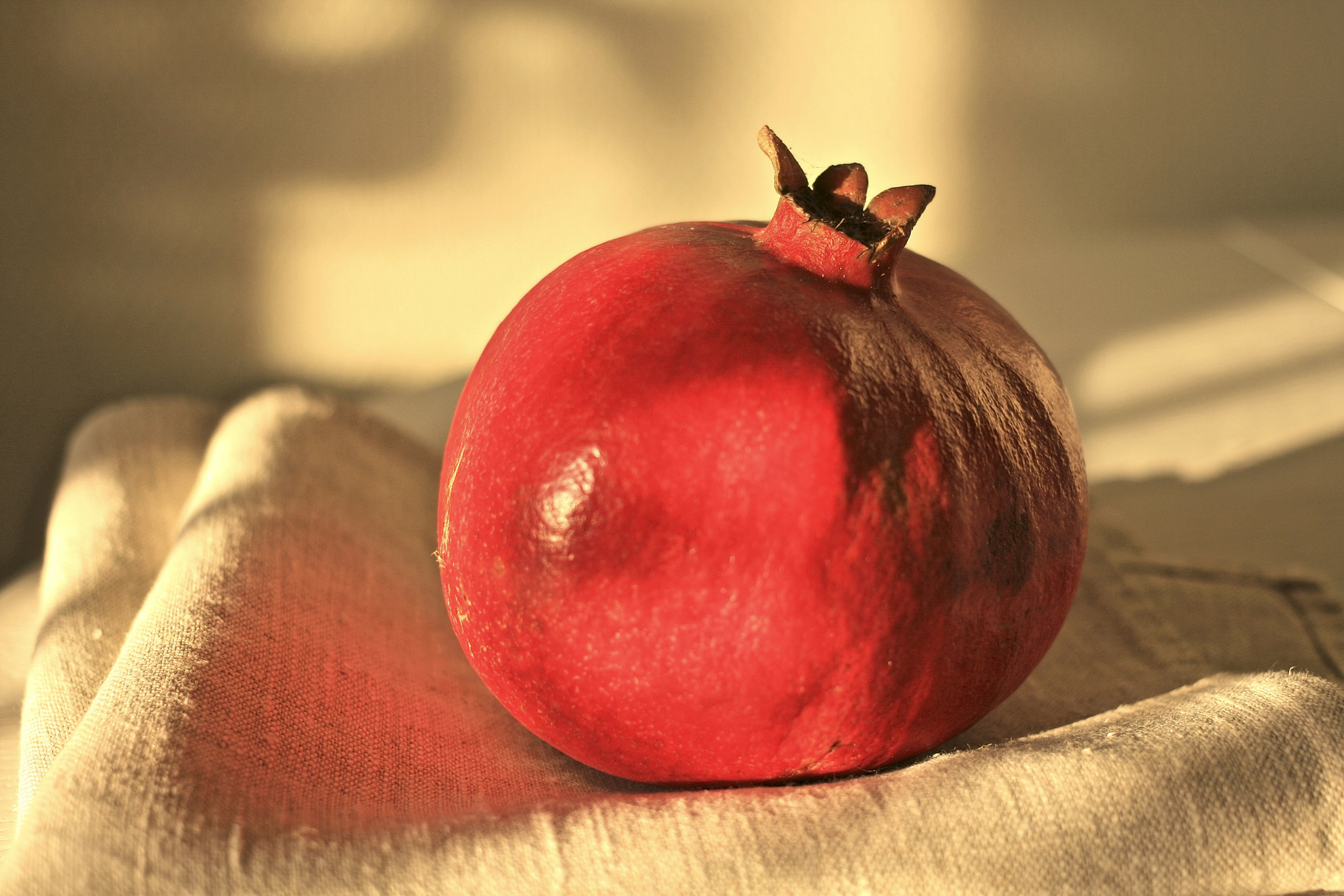 Canon EF 40mm F2.8 STM sample photo. Pomegranate photography