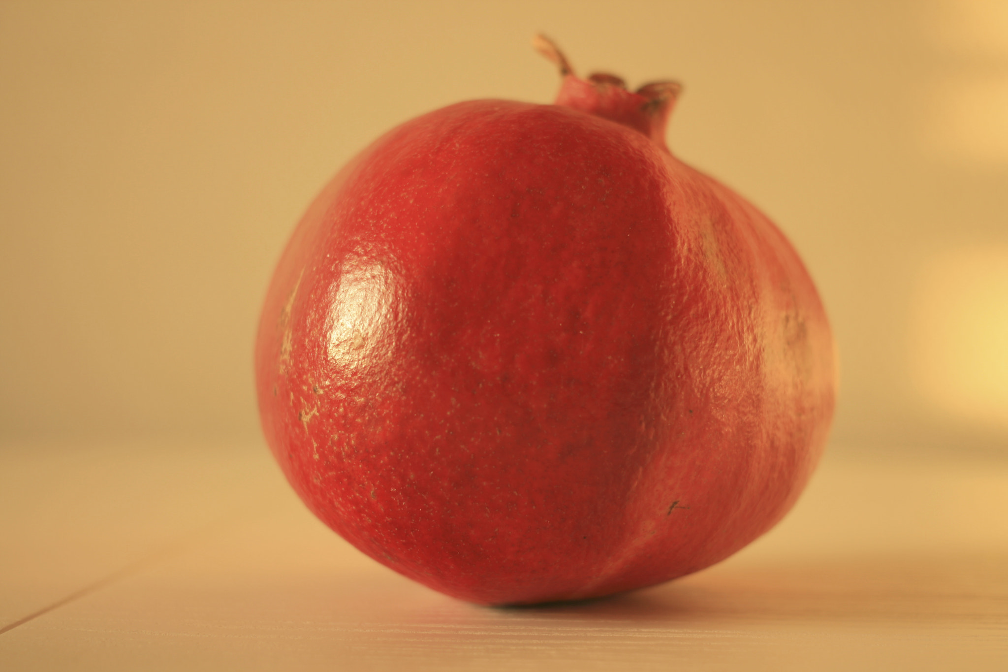 Canon EF 40mm F2.8 STM sample photo. Pomegranate photography