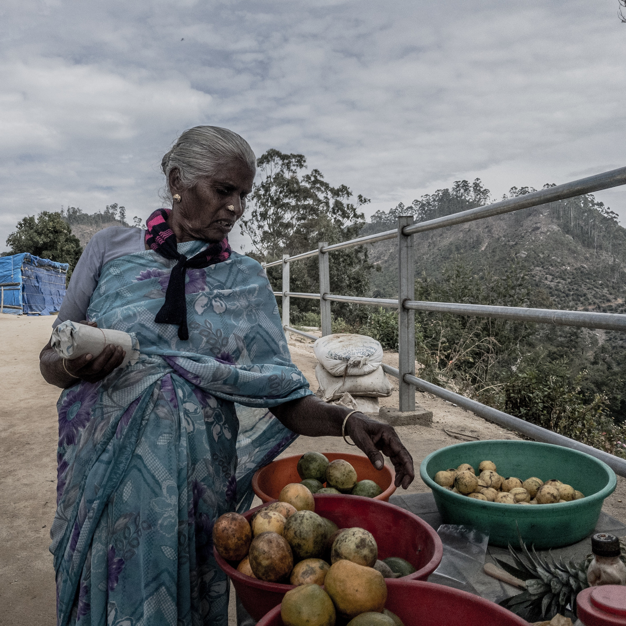 Apple iPad Pro sample photo. Fruit seller photography