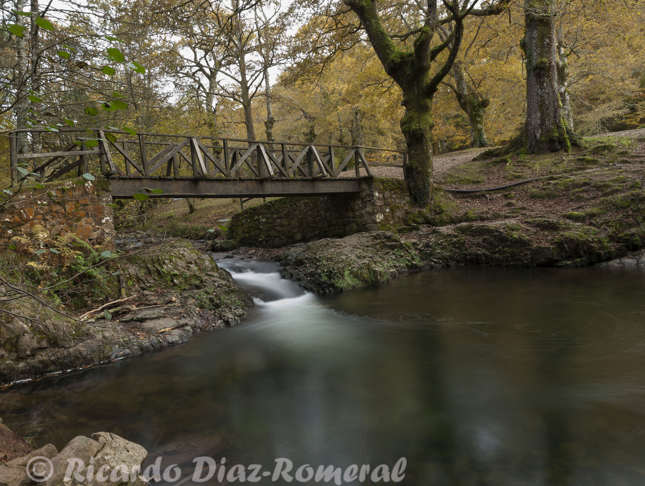Nikon D700 sample photo. Los puentes de otoño photography