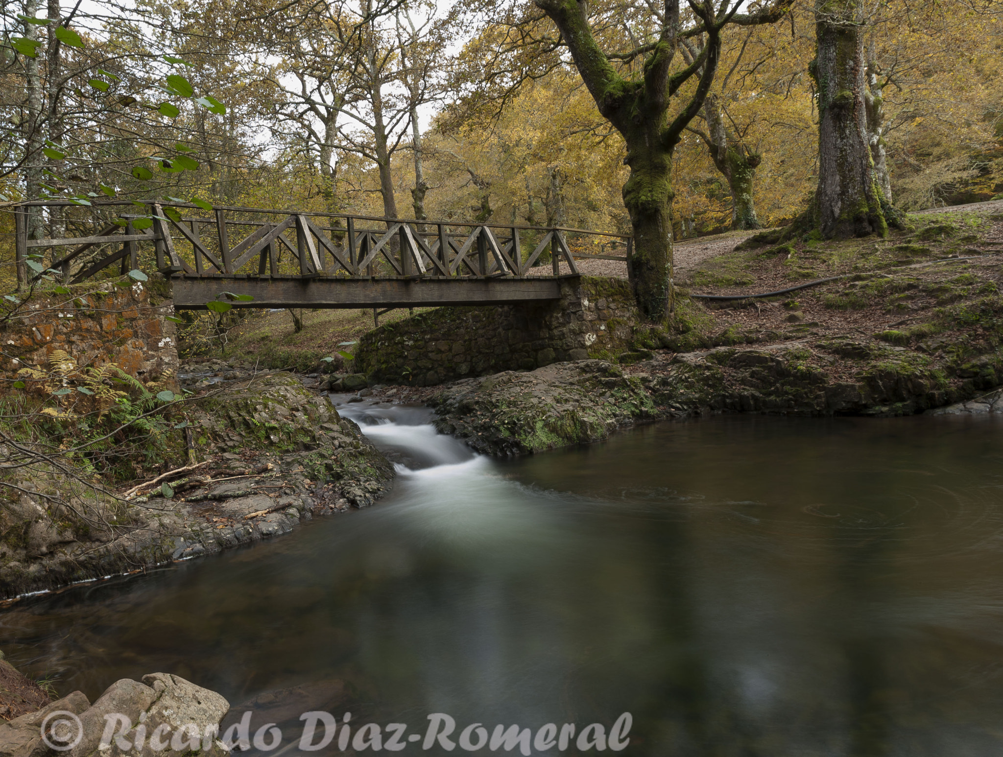 Tamron SP 24-70mm F2.8 Di VC USD sample photo. Los puentes de otoño photography