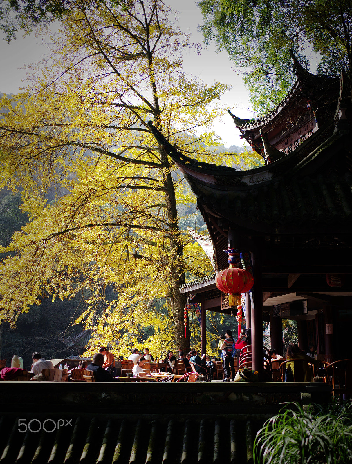 Pentax 645Z + smc PENTAX-FA 645 33-55mm F4.5 AL sample photo. The day of the autumn photography