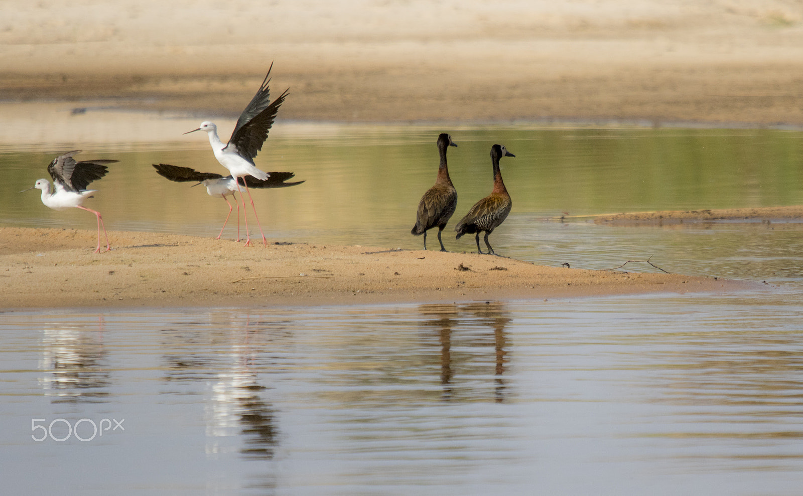 Canon EF 70-200mm F2.8L USM sample photo. 729.jpg photography