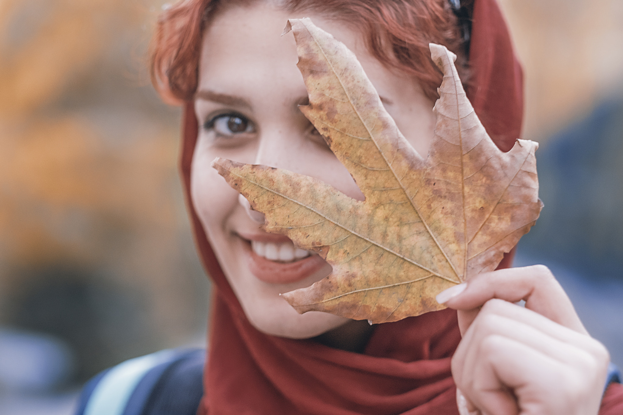 Fujifilm X-T2 + Fujifilm XF 56mm F1.2 R APD sample photo. Beauty of autumn ! photography