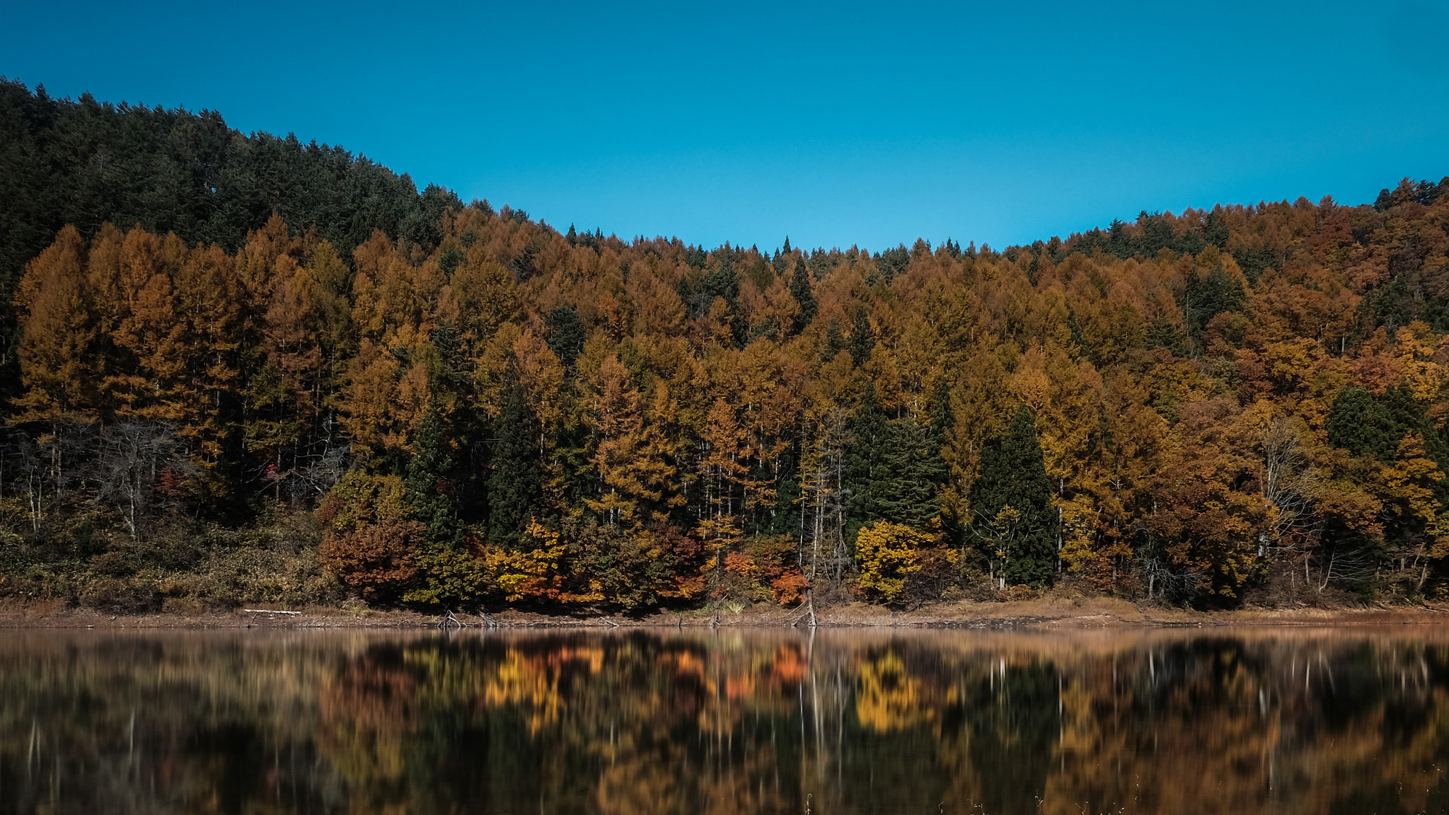 Fujifilm X-T10 + Fujifilm XF 18mm F2 R sample photo. "threes reflection" photography