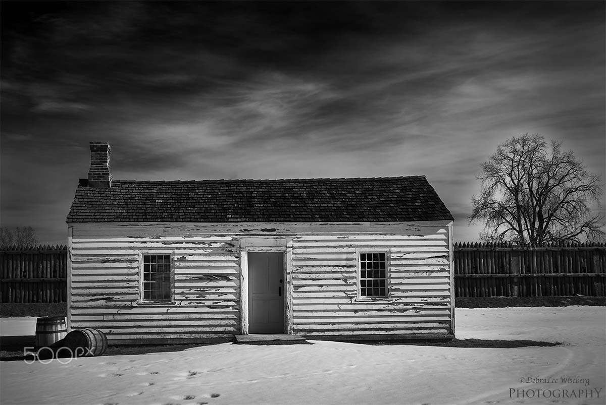 Nikon D200 sample photo. Ole winter day photography
