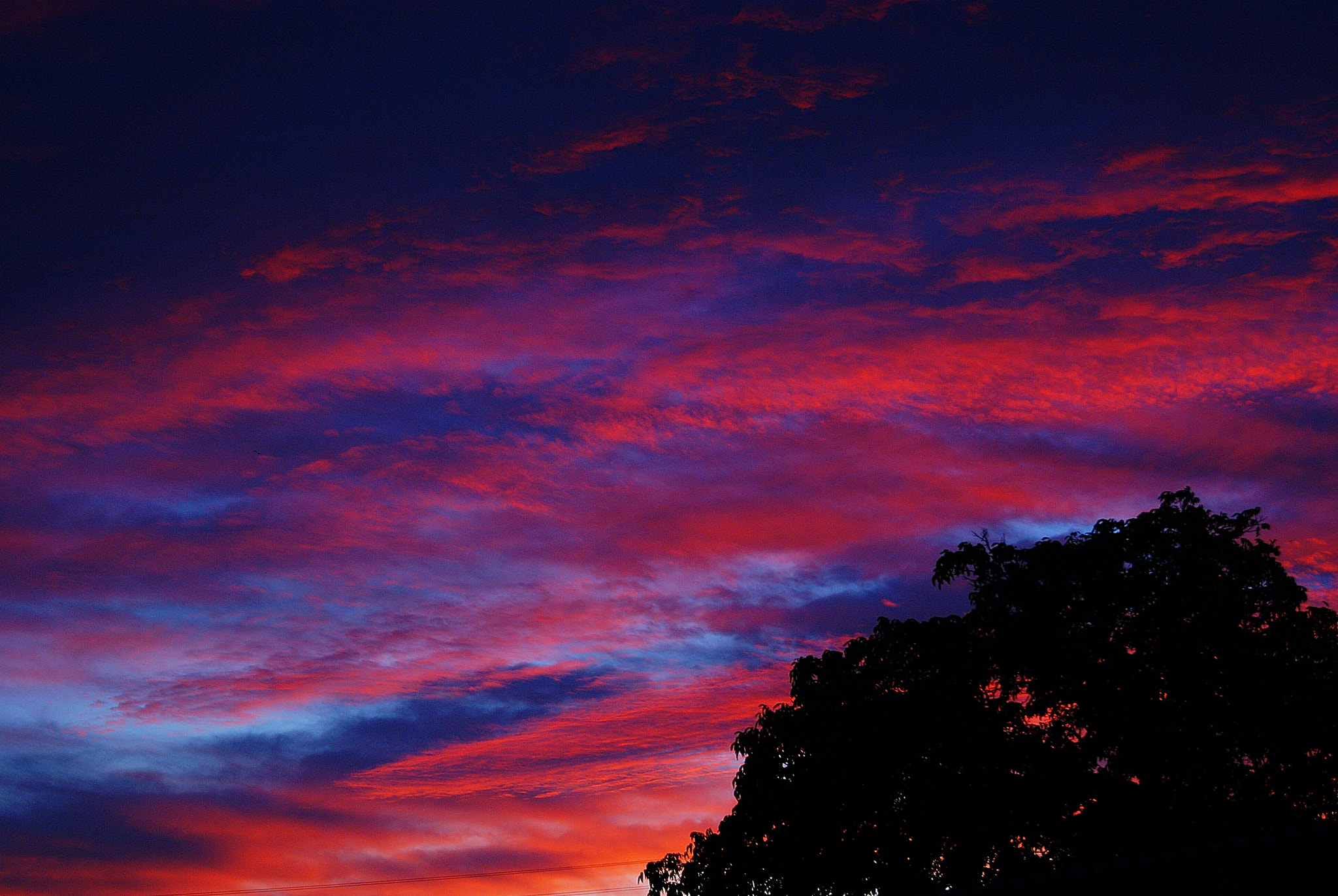 Sony Alpha DSLR-A330 sample photo. Pink sky photography