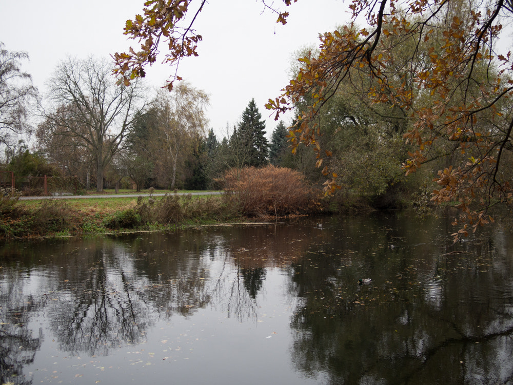 Olympus OM-D E-M5 sample photo. Die oker in braunschweig photography