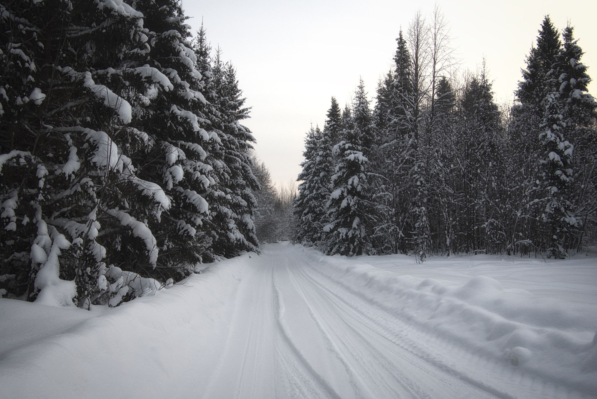 Pentax K200D + smc PENTAX-FA 20-35mm F4 AL sample photo. Wood winter road photography