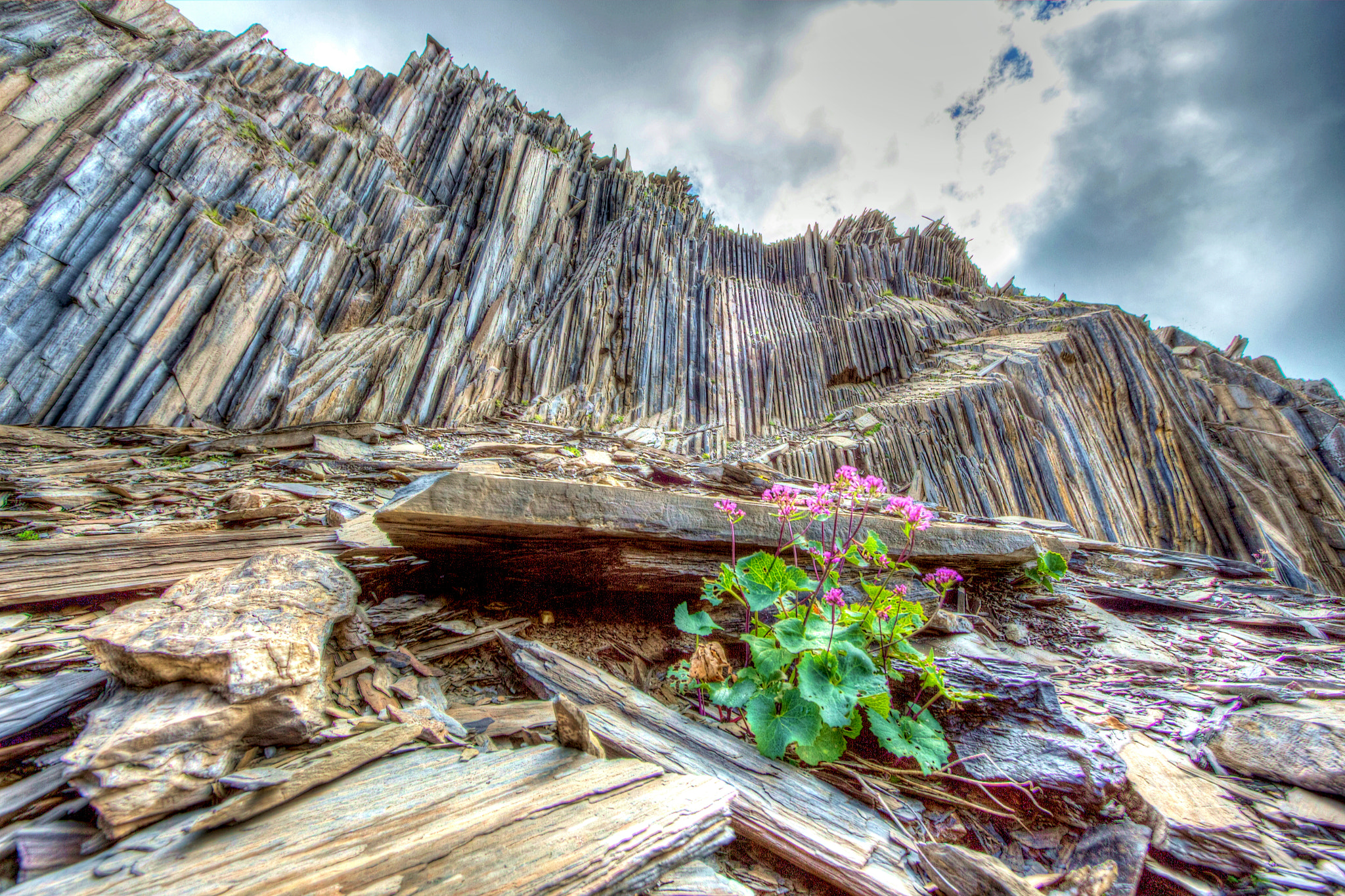 Canon EF-S 10-22mm F3.5-4.5 USM sample photo. Les orgues de valsenestre photography