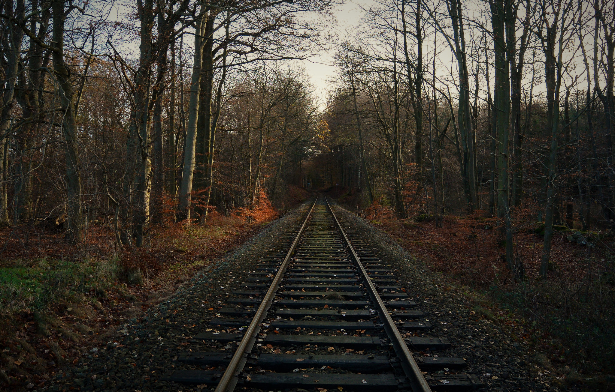 Nikon 1 Nikkor 11-27.5mm F3.5-5.6 sample photo. Uncharted land... photography