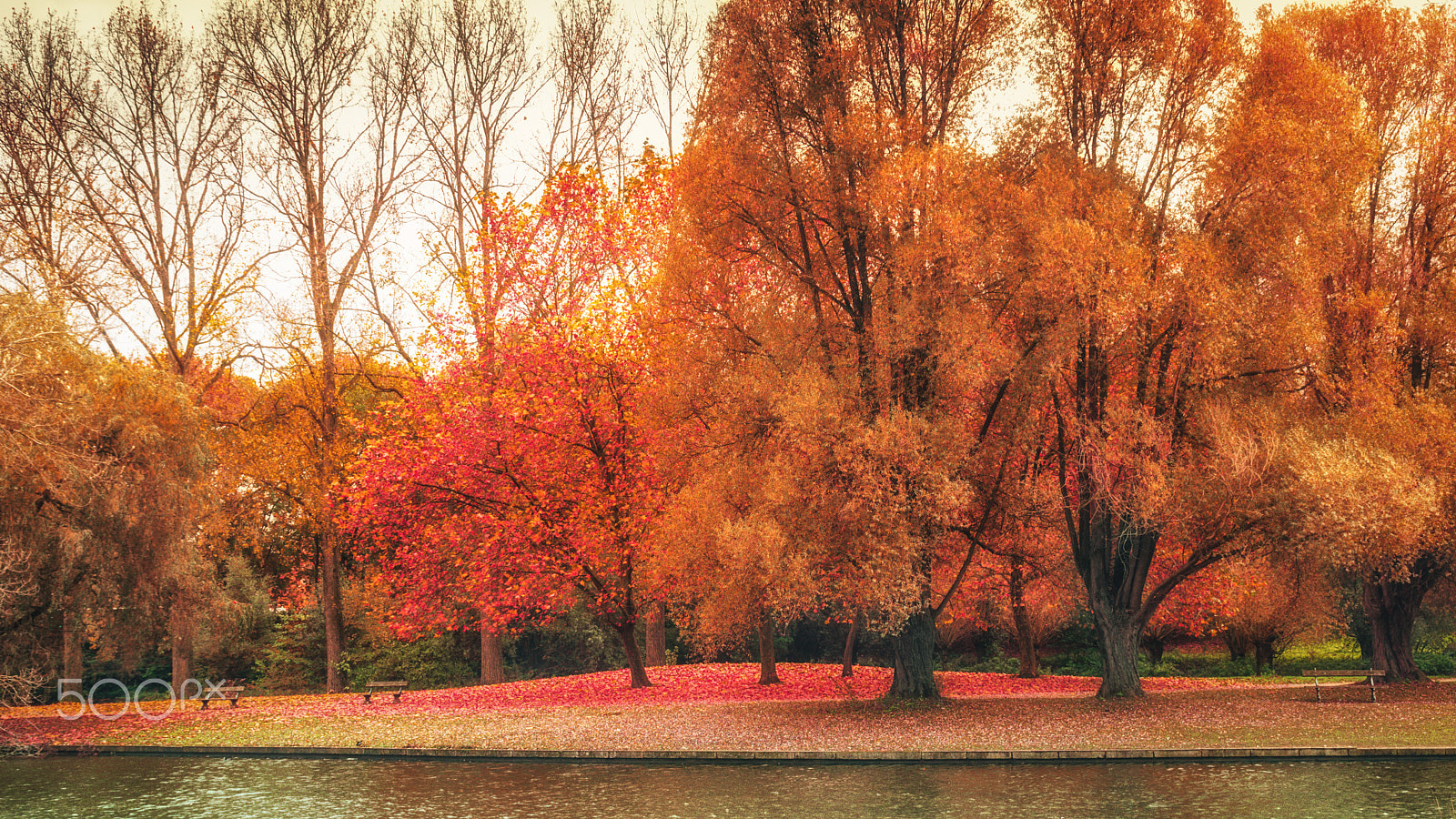 Pentax K-3 sample photo. Autumn photography