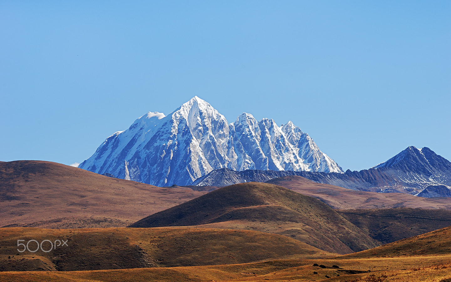 Sony a99 II + Minolta/Sony AF 70-200mm F2.8 G sample photo. The crown of god-mount yala 1 photography