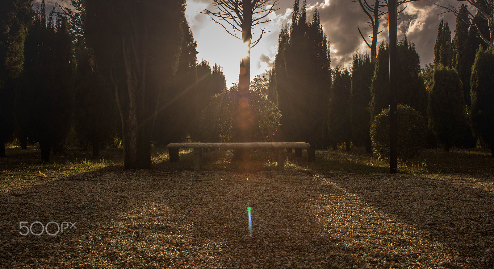Canon EF 28-80mm f/3.5-5.6 sample photo. Into the park. photography