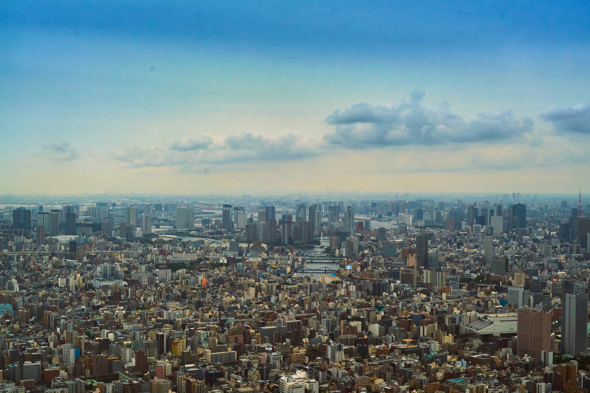 50mm F1.8 sample photo. Tokyo skyline photography