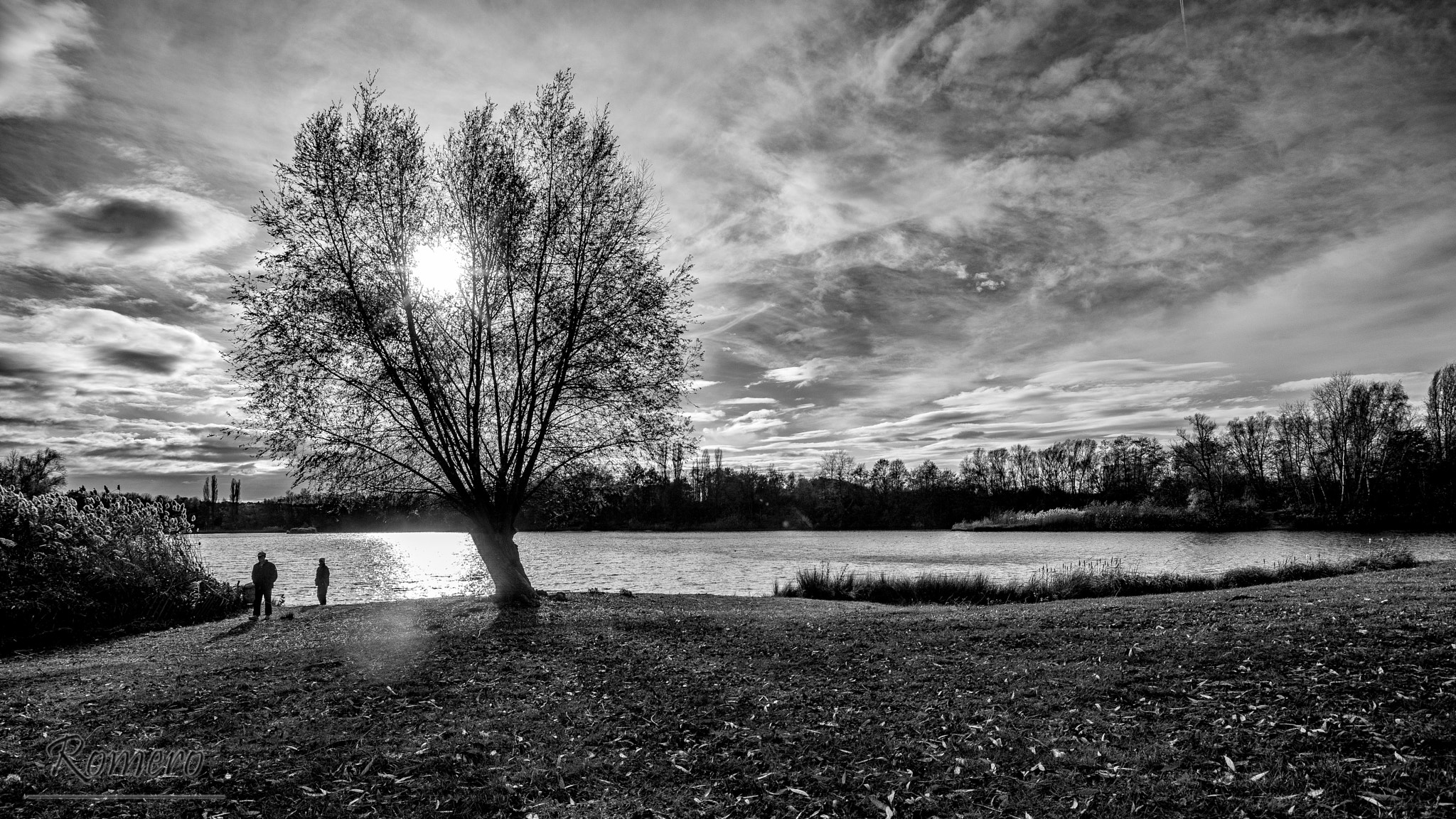 Nikon D750 + Sigma 17-35mm F2.8-4 EX Aspherical sample photo. Tree photography