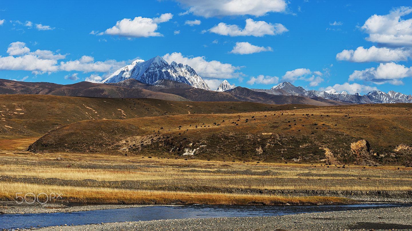 Sony a99 II sample photo. The crown of god-mount yala 3 photography