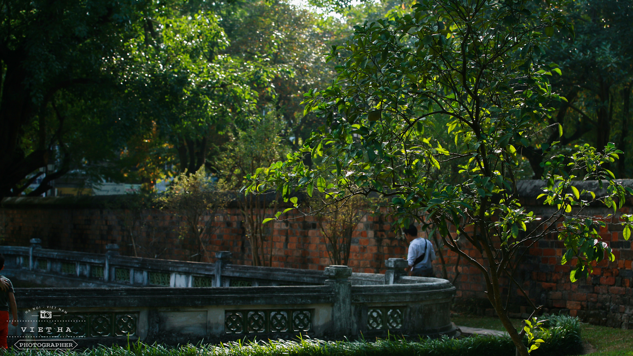 Canon EF 70-200mm F2.8L USM sample photo. Img photography