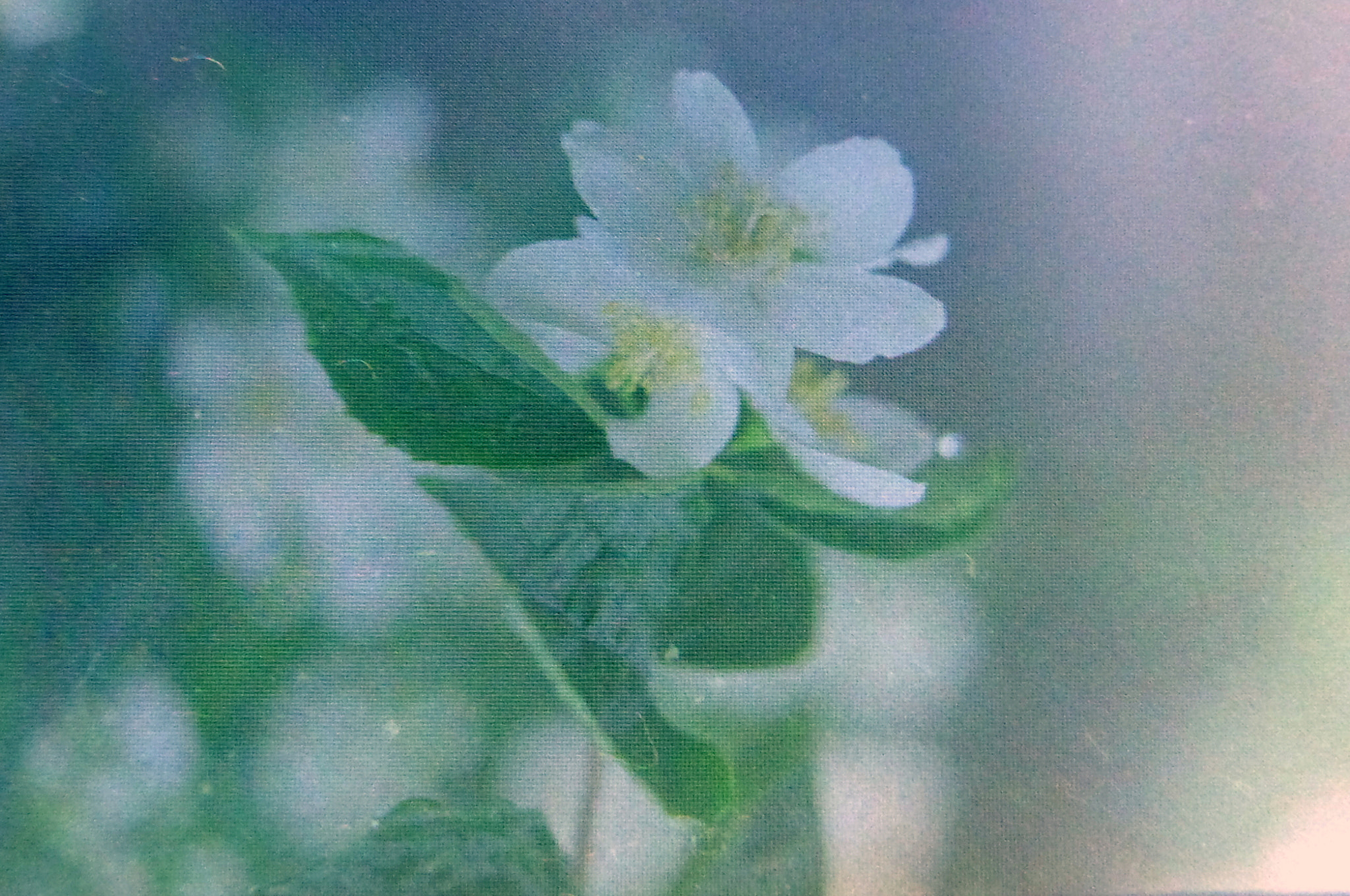 Samsung WB200F/WB201F/WB202F sample photo. Zenit et photography