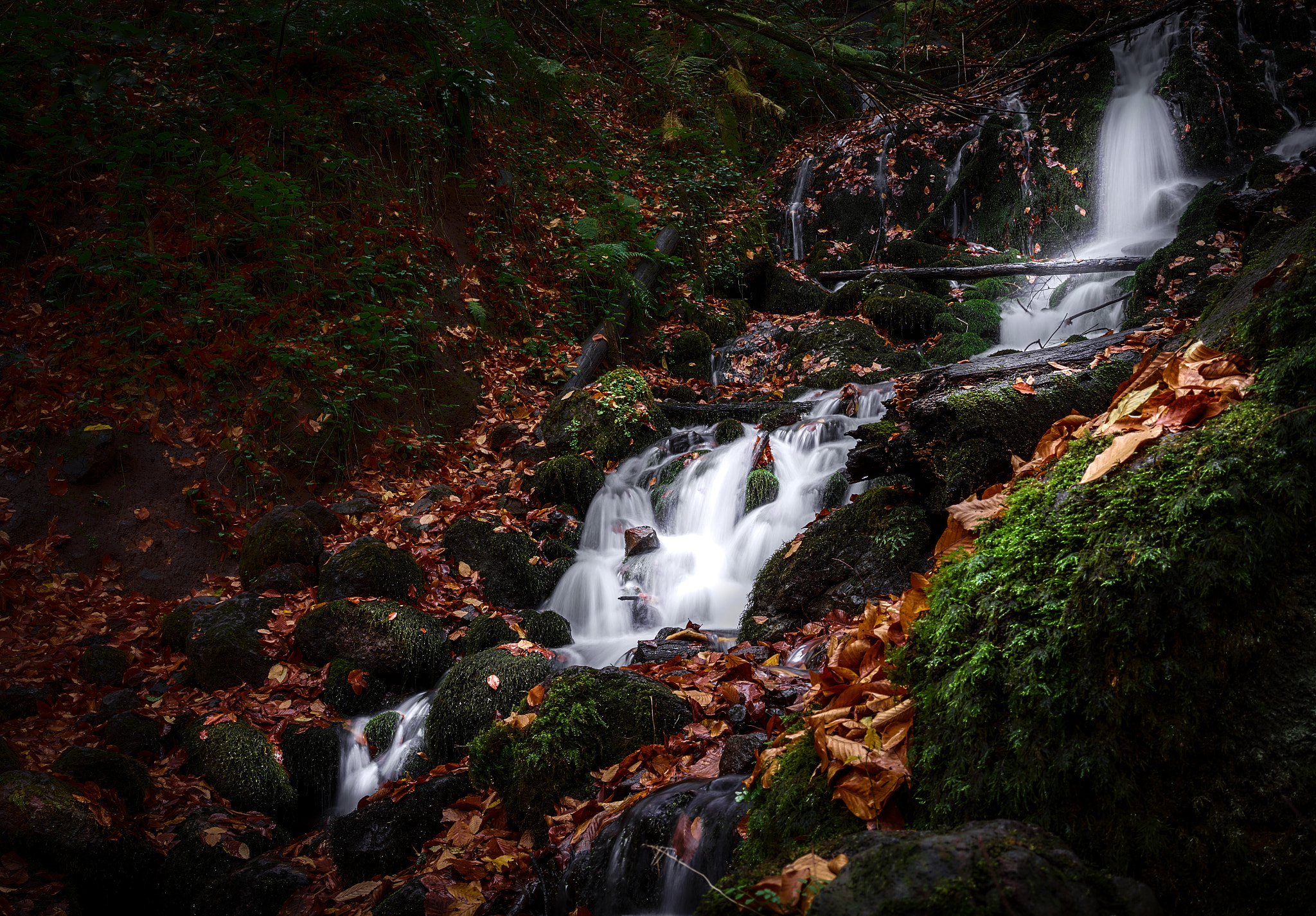 Sony Sonnar T* FE 35mm F2.8 ZA sample photo. Abant yedigoller waterfall photography