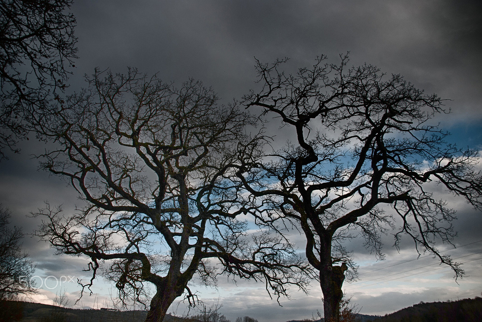 Nikon D80 sample photo. Shadow of nature ... photography