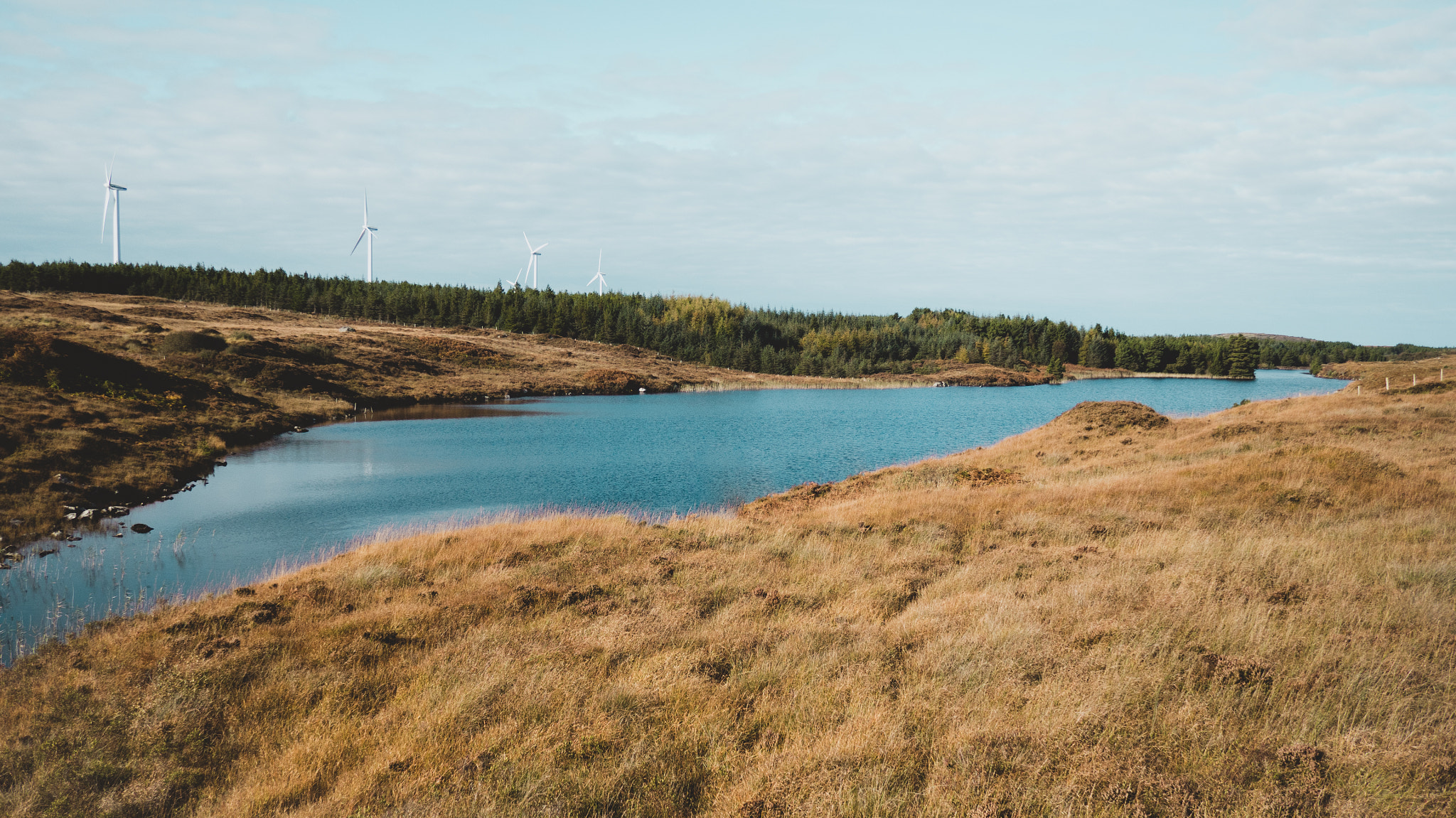 Olympus OM-D E-M5 II sample photo. Donegal, ireland photography