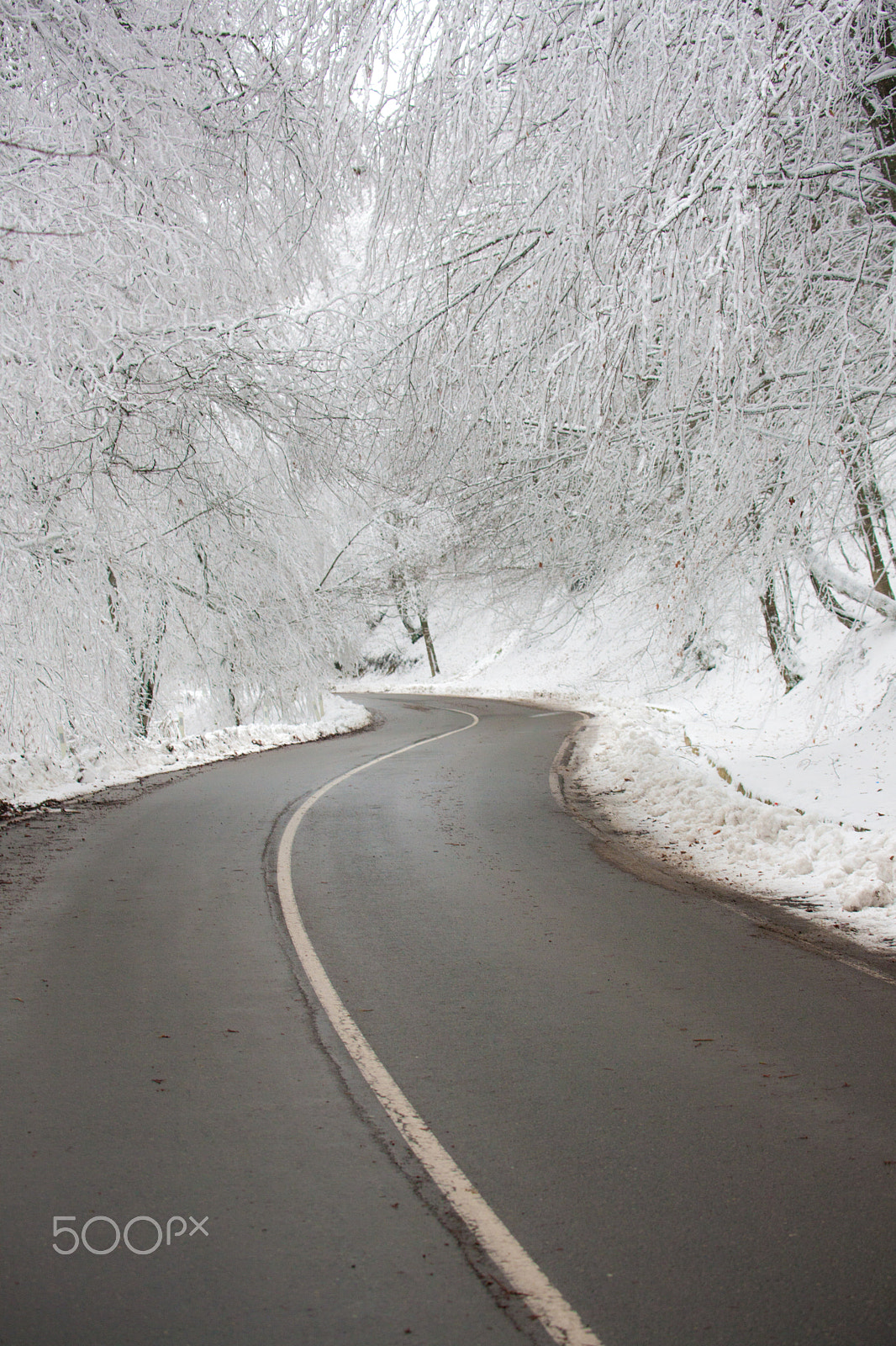 Canon EOS-1Ds Mark III sample photo. Snow corridor photography