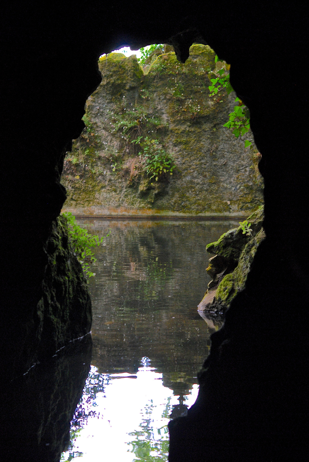 Nikon AF-S Micro-Nikkor 60mm F2.8G ED sample photo