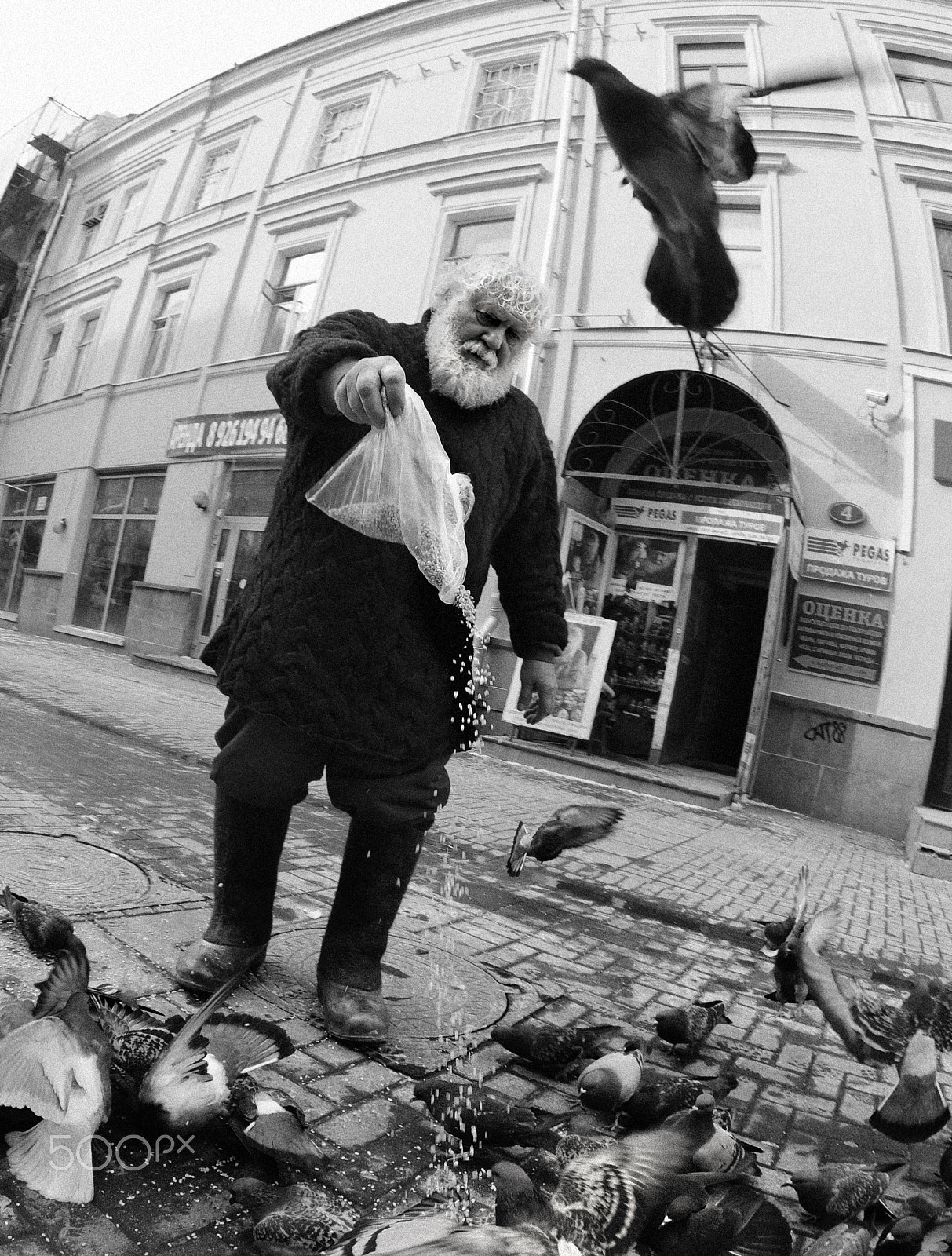 Nikon AF DX Fisheye-Nikkor 10.5mm F2.8G ED sample photo. Кормить голубей; to feed pigeons photography