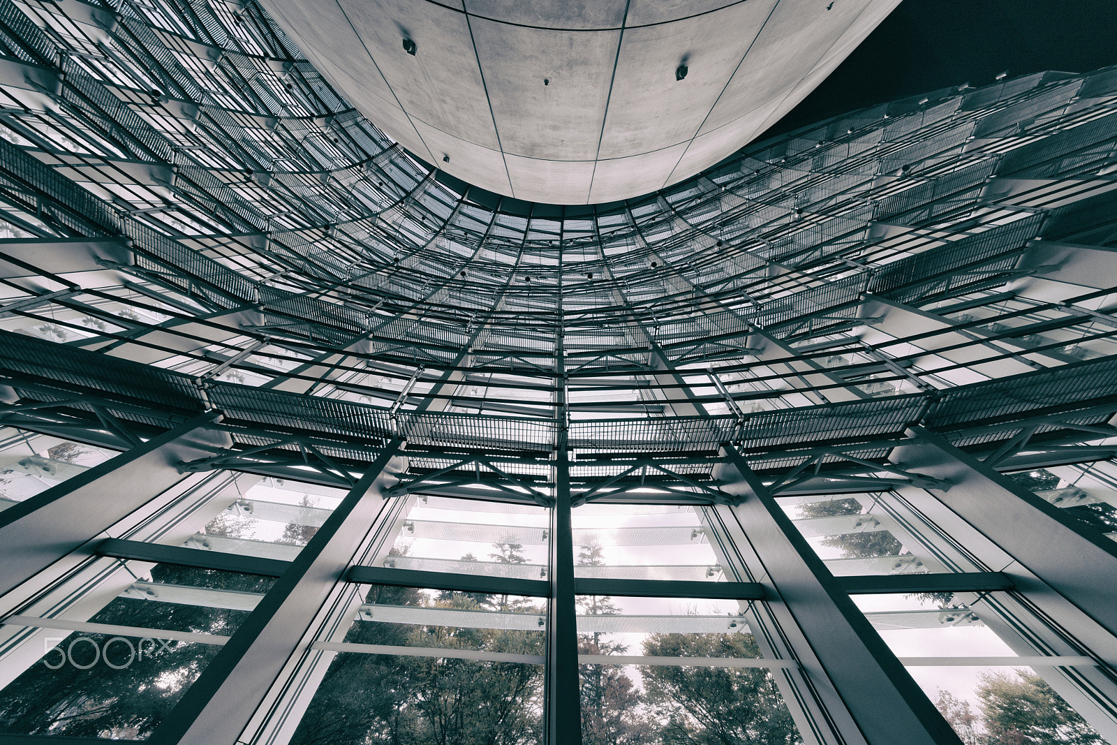 Sony a7R II + Voigtlander HELIAR-HYPER WIDE 10mm F5.6 sample photo. Looking up photography