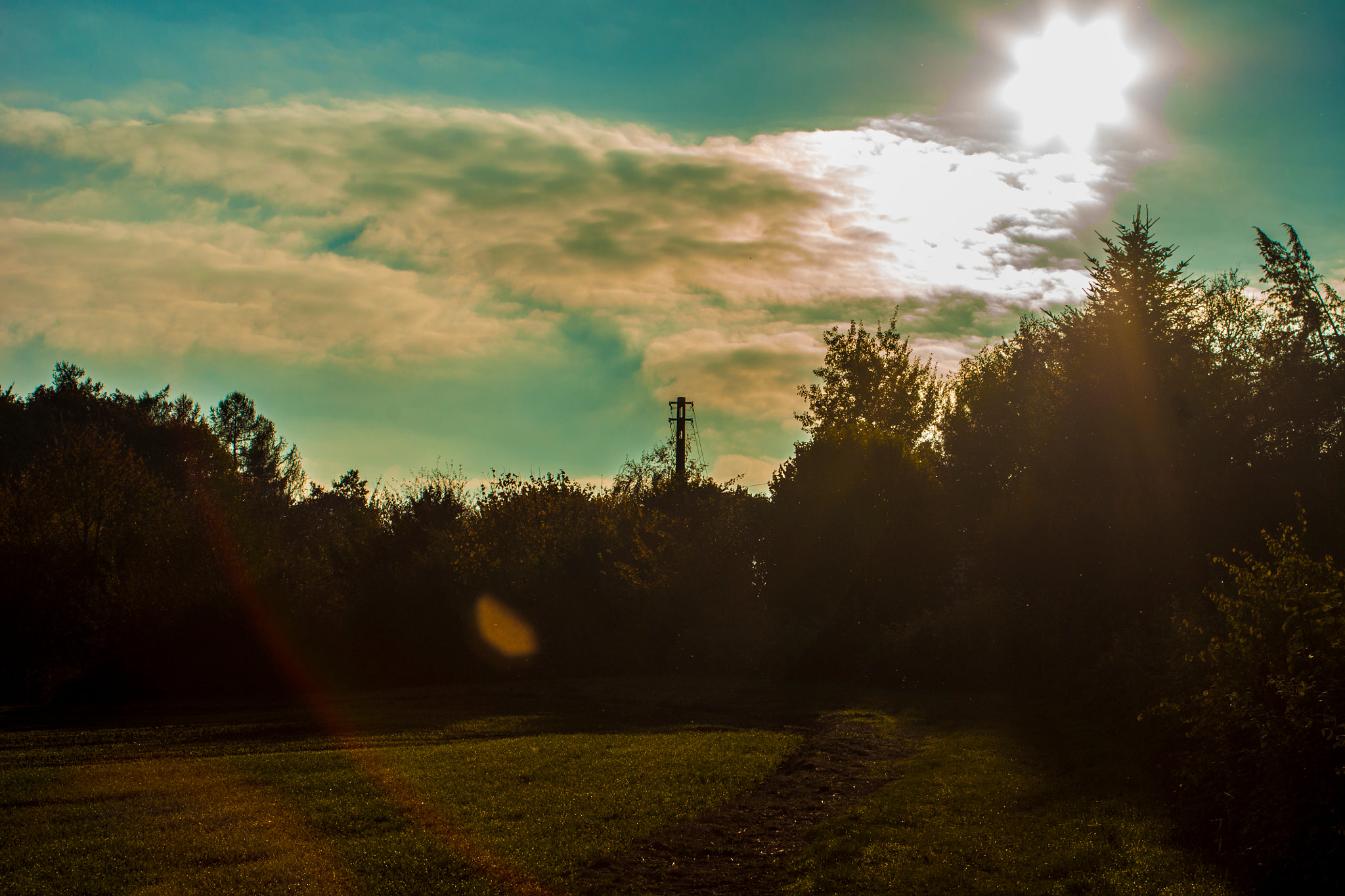 Minolta AF 28-80mm F3.5-5.6 II sample photo. Sonnenstern photography