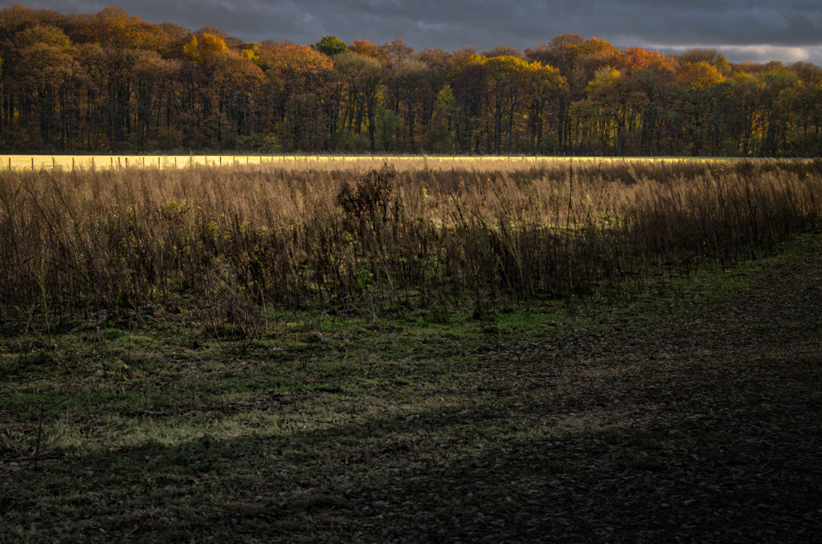 Pentax smc DA* 16-50mm F2.8 ED AL (IF) SDM sample photo. Autumn colors photography