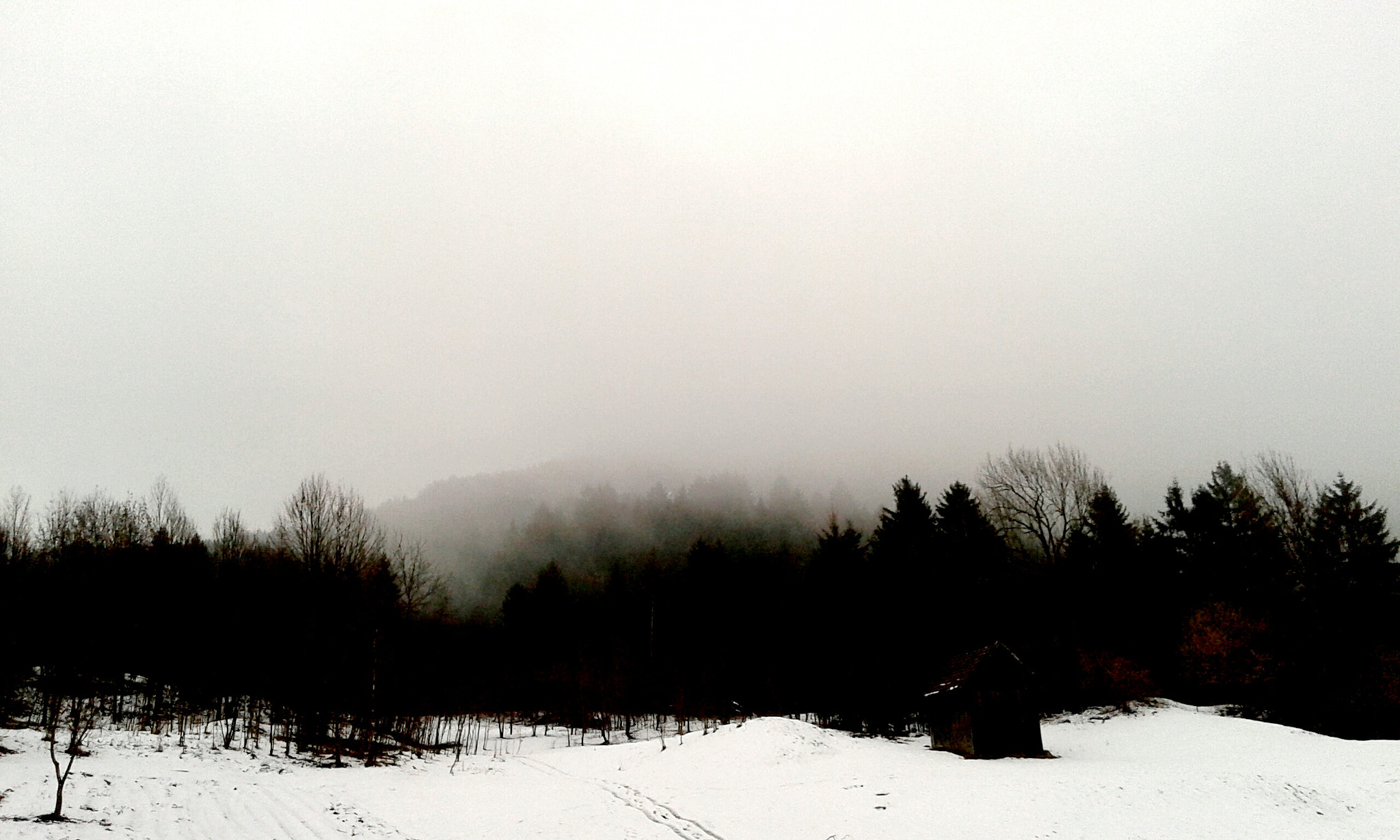 Samsung Galaxy Grand Neo Plus sample photo. Nebbia photography