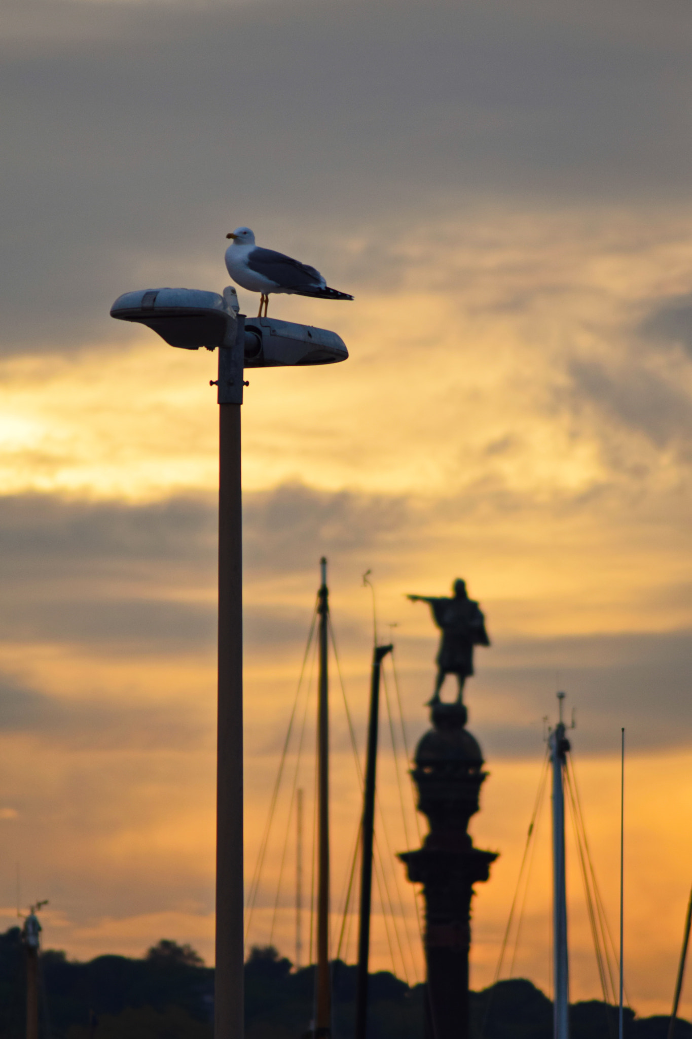 AF Zoom-Nikkor 75-240mm f/4.5-5.6D sample photo. Barcelona tempting photography