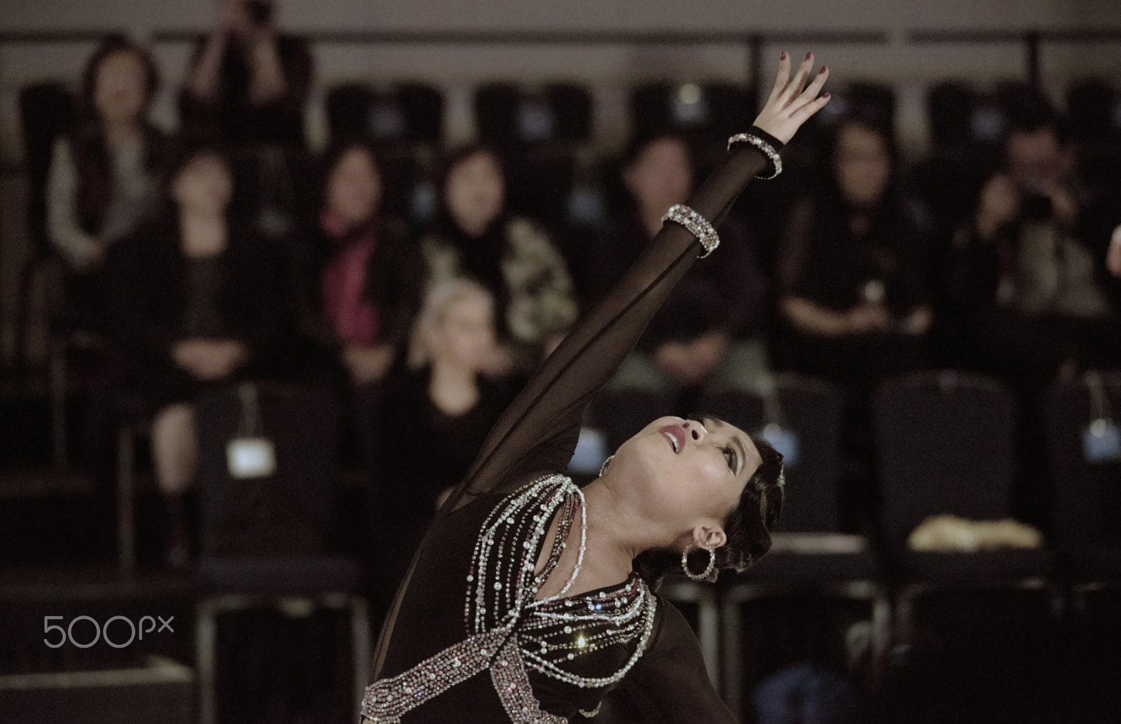 Sigma 150-500mm F5-6.3 DG OS HSM sample photo. Performer photography