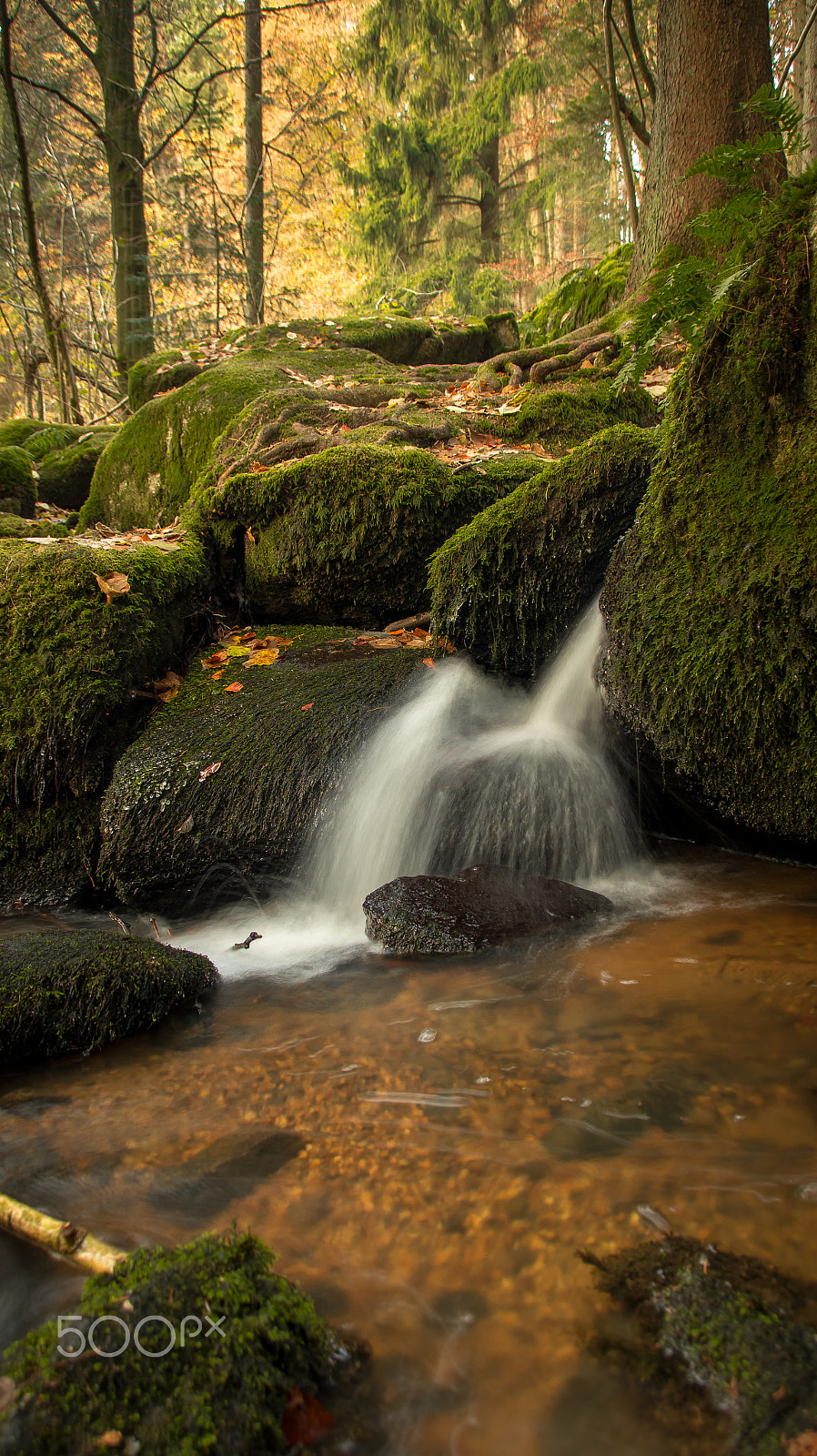 Sony SLT-A58 + Tamron AF 28-105mm F4-5.6 [IF] sample photo. Höllbachtal photography