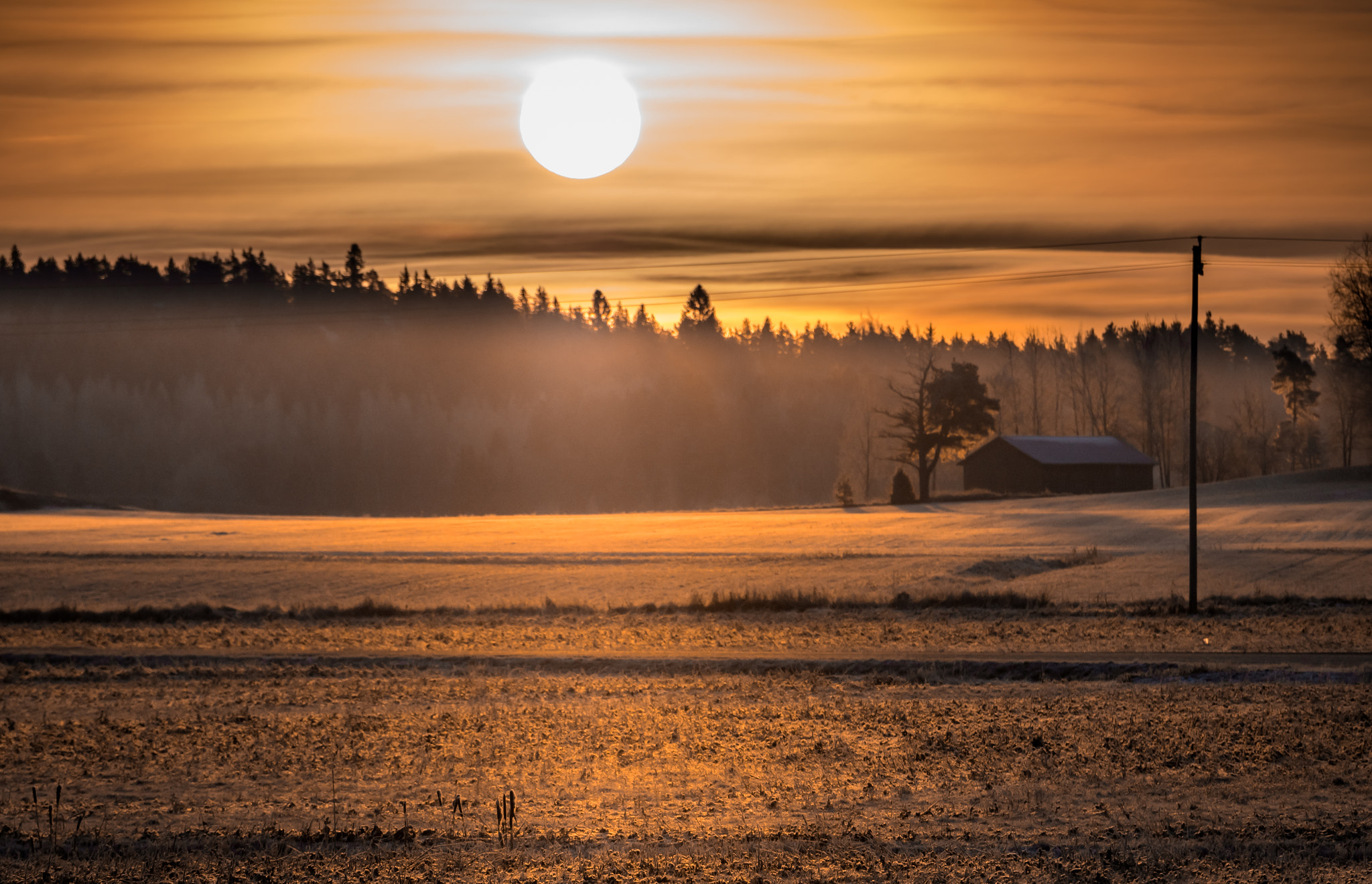 Panasonic Lumix DMC-GX8 sample photo. Frosty morning photography