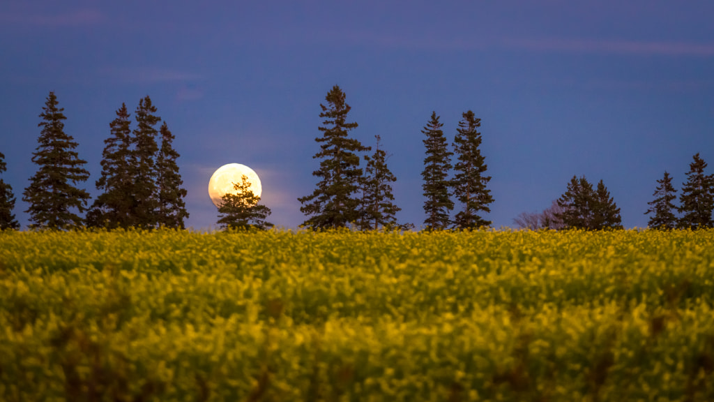 Supermoon by James MacSwain on 500px.com