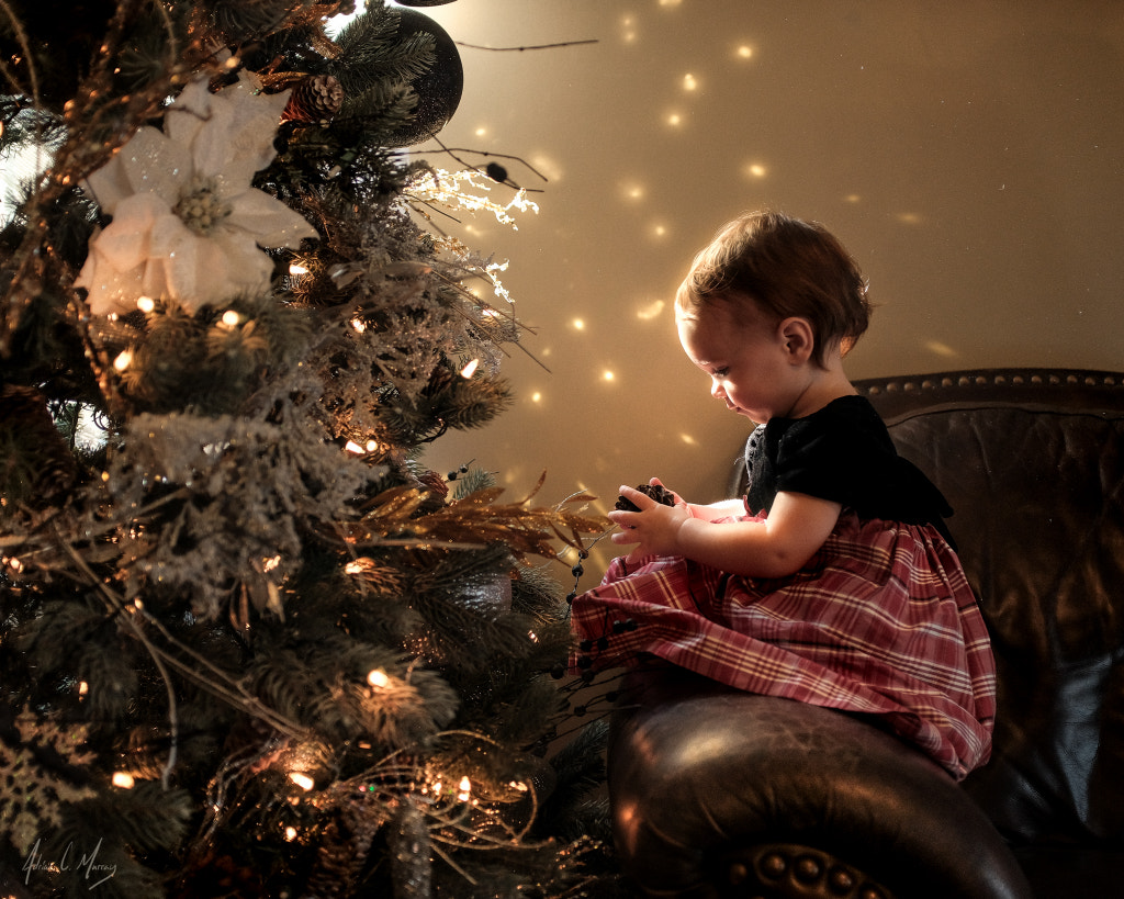 Decorating the Tree by Adrian C. Murray on 500px.com