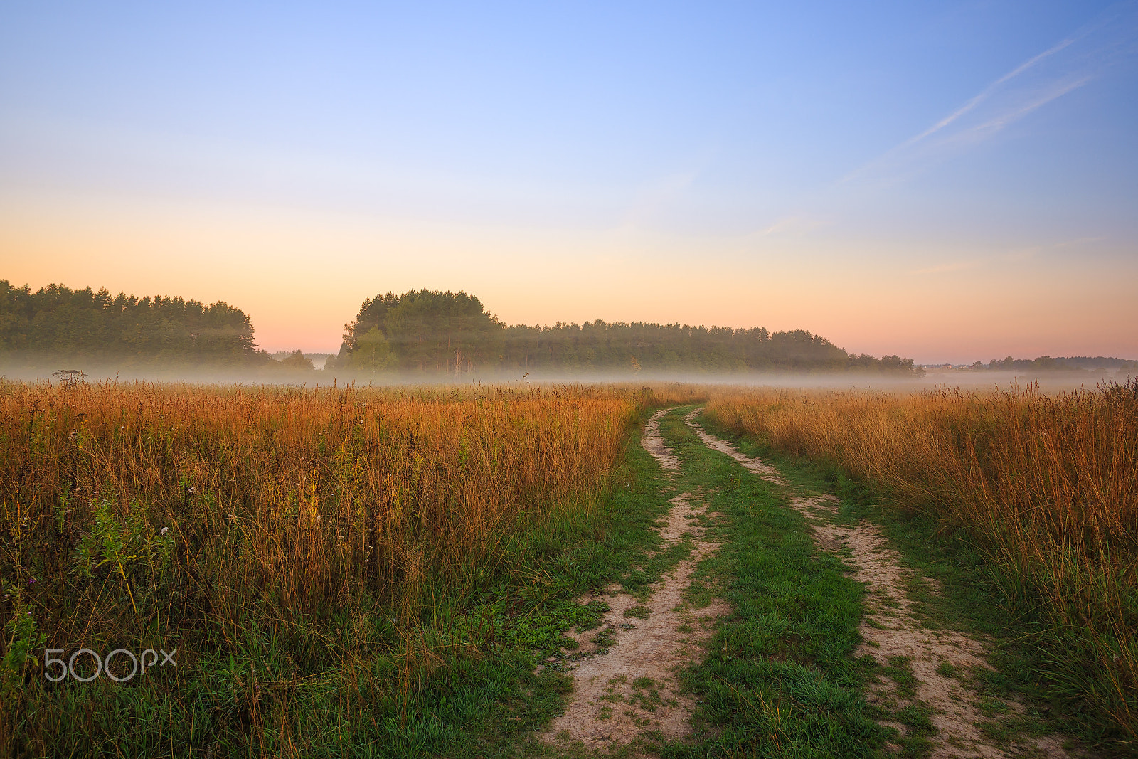 Canon EOS 6D + Canon EF 20mm F2.8 USM sample photo. Moscow region, russia. photography