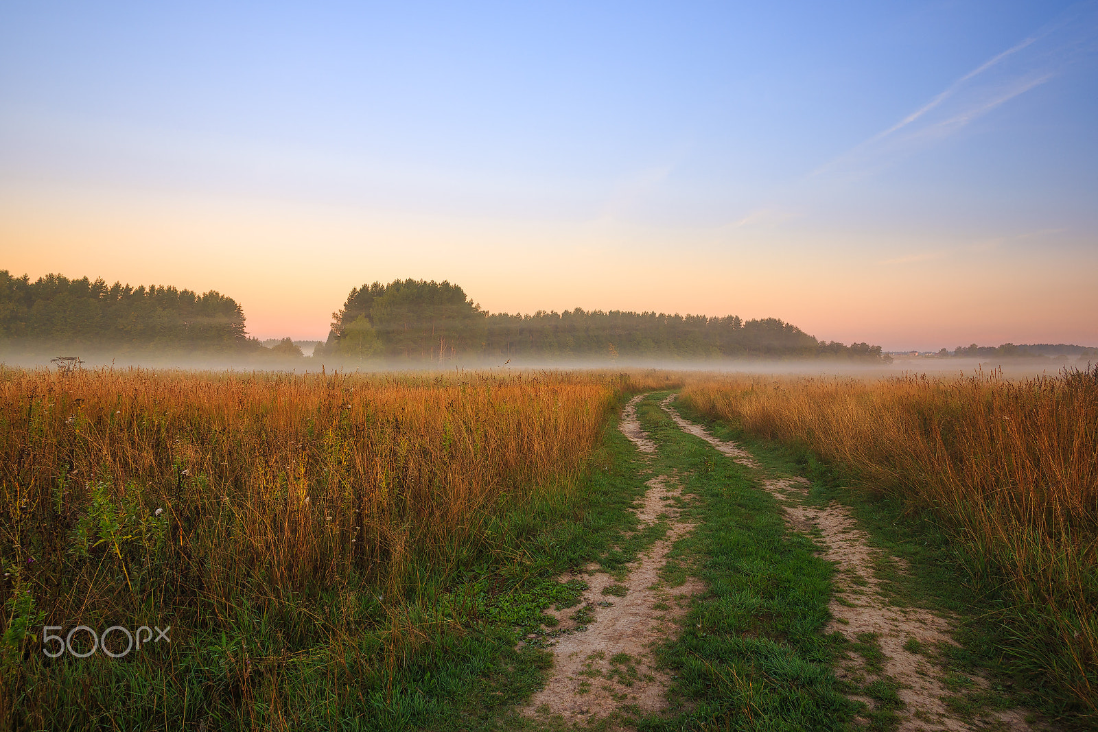 Canon EOS 6D sample photo. Moscow region, russia. photography