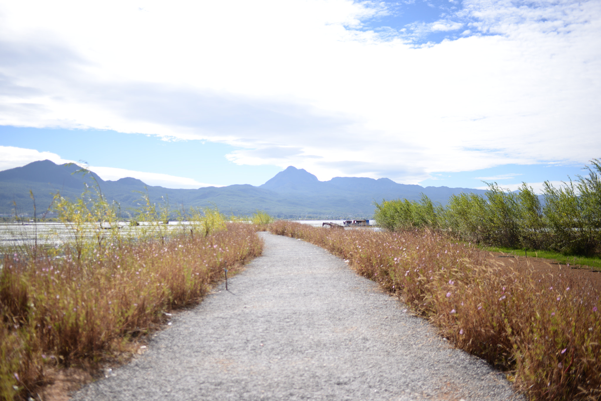 Nikon D610 + Nikon AF-S Nikkor 35mm F1.8G ED sample photo. 走在乡间的小路上 photography