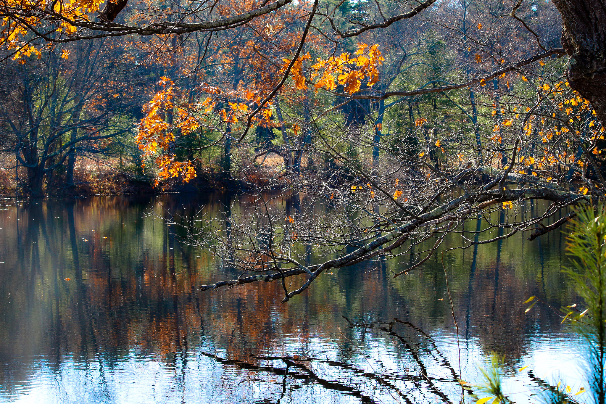 Canon EF-S 55-250mm F4-5.6 IS II sample photo. Reflections photography