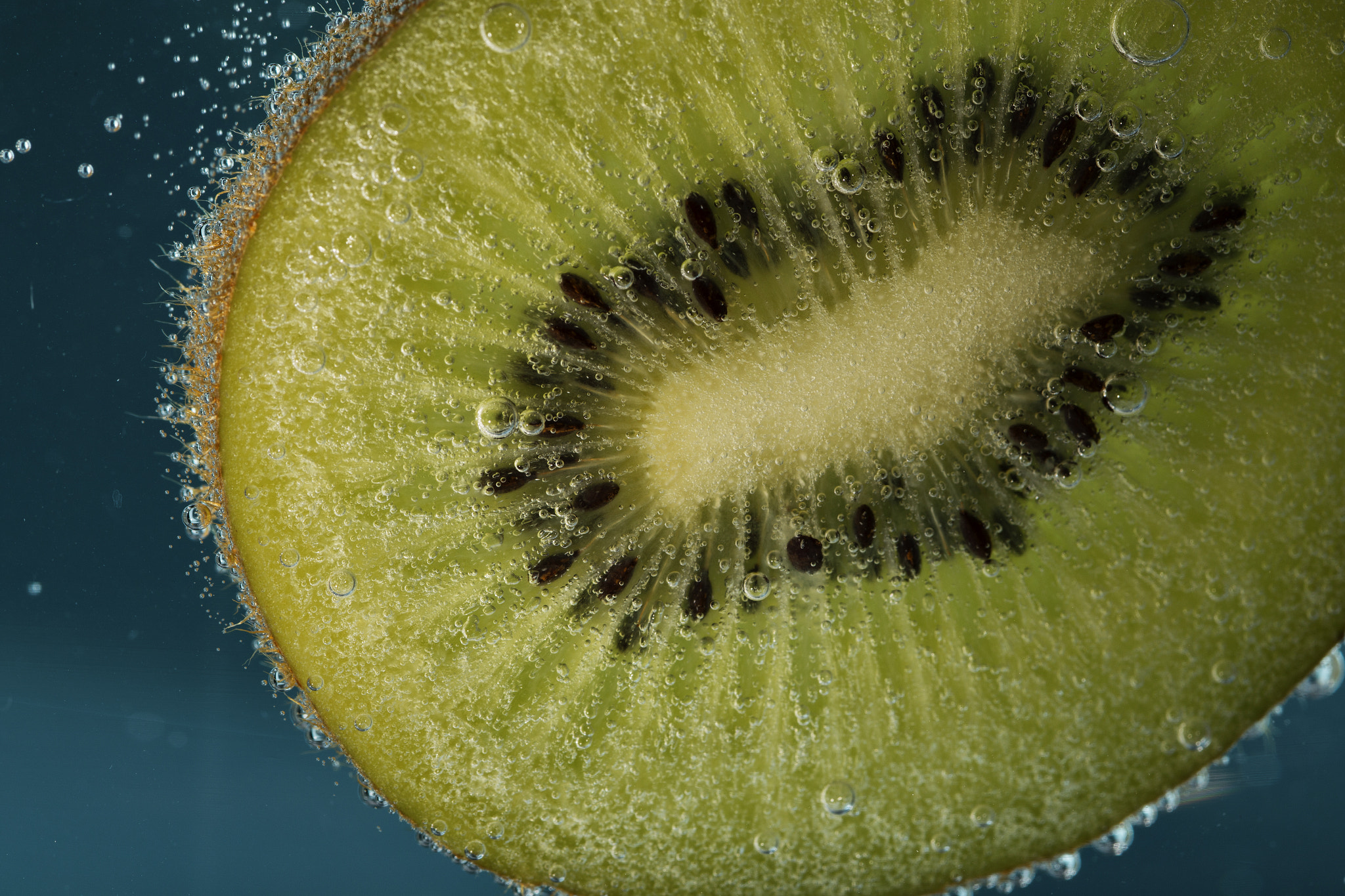 Tamron SP AF 90mm F2.8 Di Macro sample photo. Kiwi 5 photography
