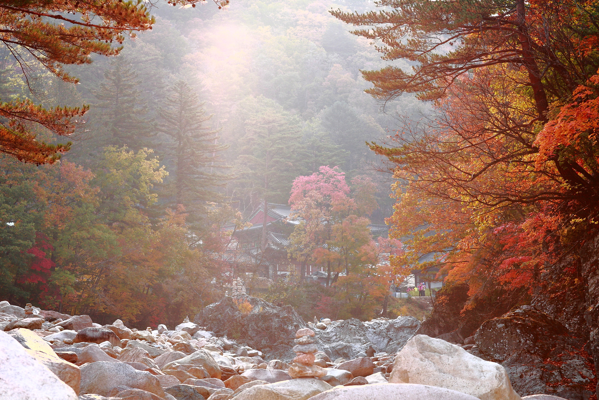 Canon EOS 5D + Canon EF 85mm F1.2L II USM sample photo. Morning photography