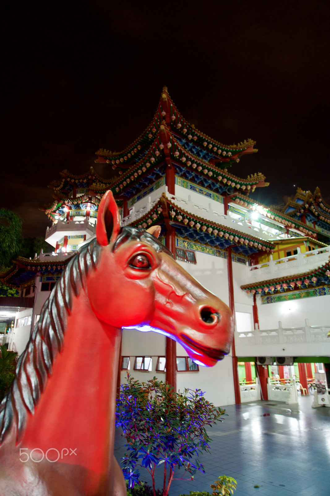 Sony a7R II sample photo. Thean hou temple again! photography