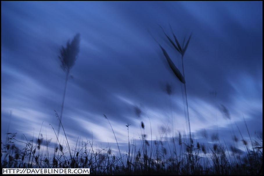 Sony a7R + Canon EF 40mm F2.8 STM sample photo. Day's end at troy meadows photography