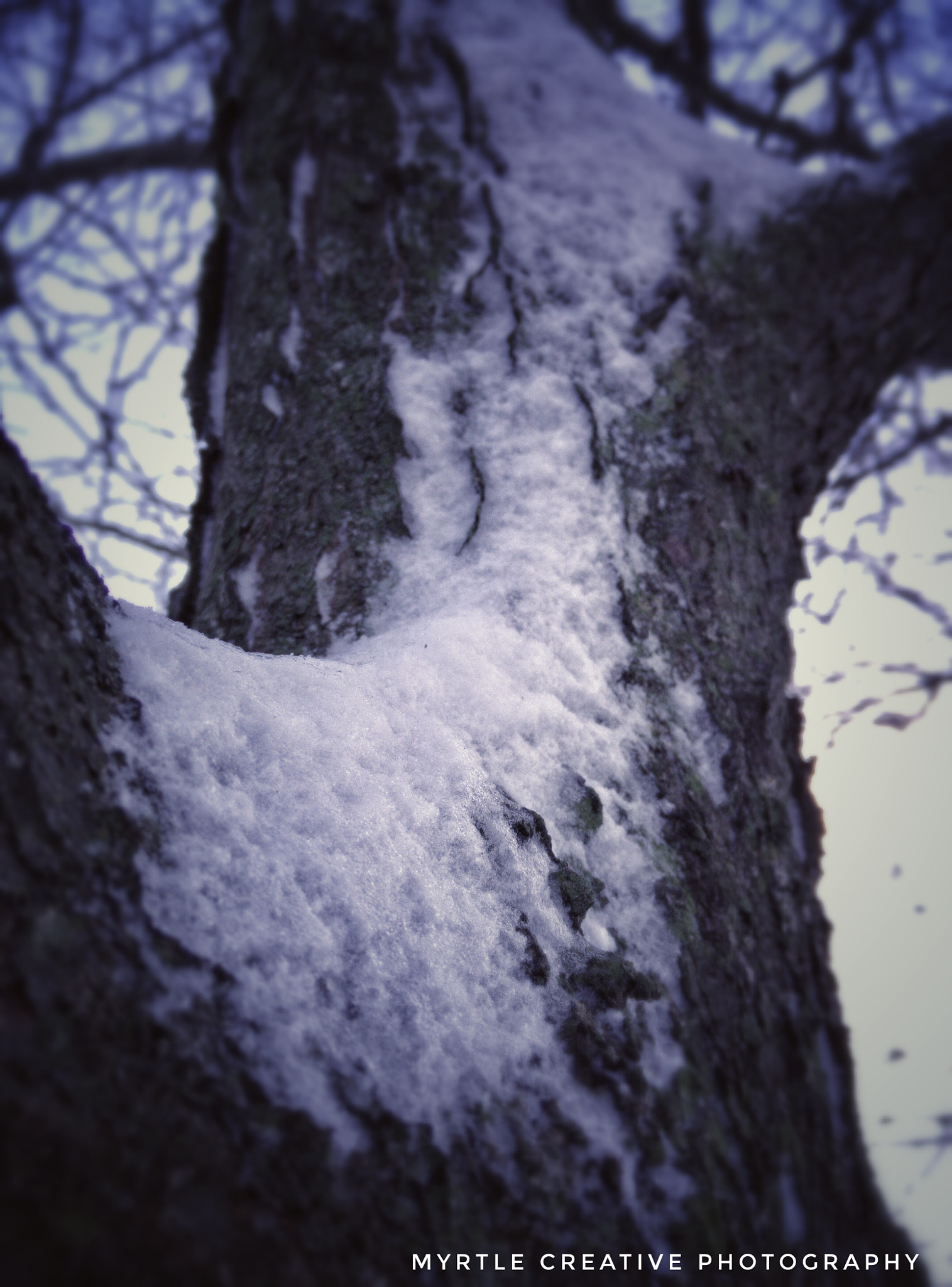OPPO Find7 sample photo. Frosty photography