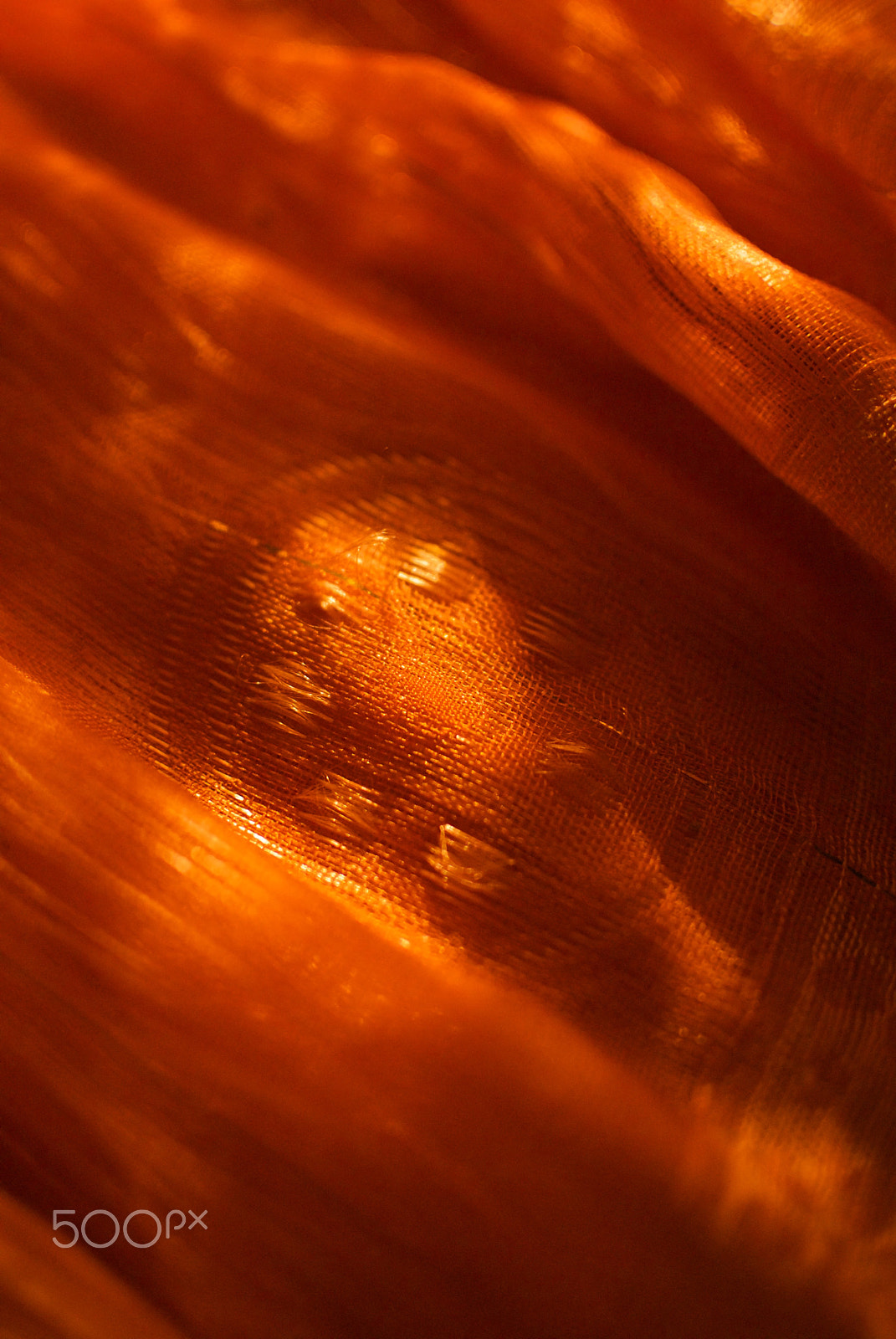 Nikon 1 J2 + Nikon 1 Nikkor 18.5mm F1.8 sample photo. Scarf + dappled light photography
